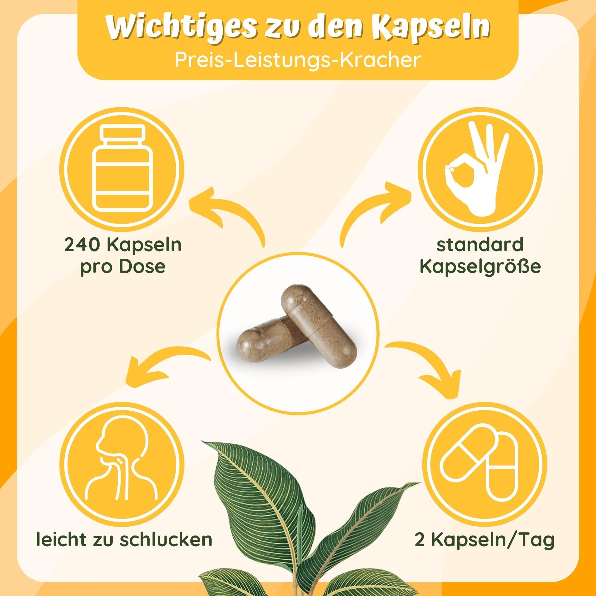 Johanniskraut-Kapseln - 10000mg Johanniskraut hochdosiert aus 10:1 Extrakt (2 Kapseln) + GABA + L-Tryptophan - 4 Monatsvorrat - pflanzlicher Stimmungsaufheller hochdosiert von loodus®