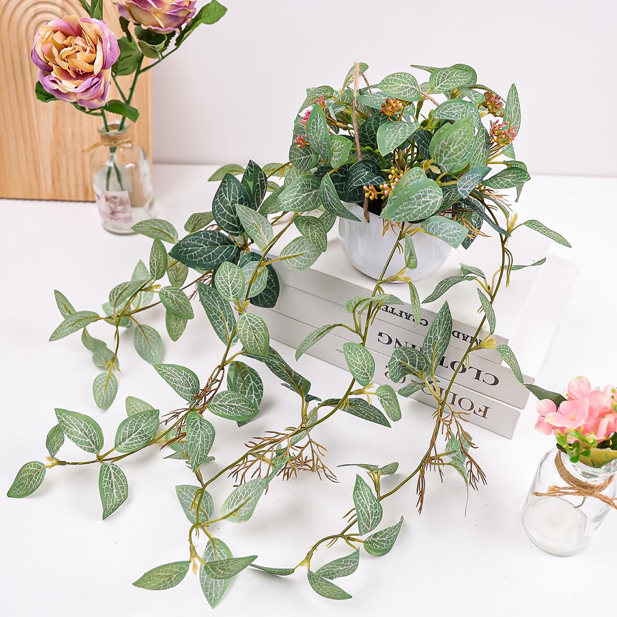 live indoor plants for sale Popular Houseplant 6-pack: Easy Plant Variety Pack  Cute & Unique Plants