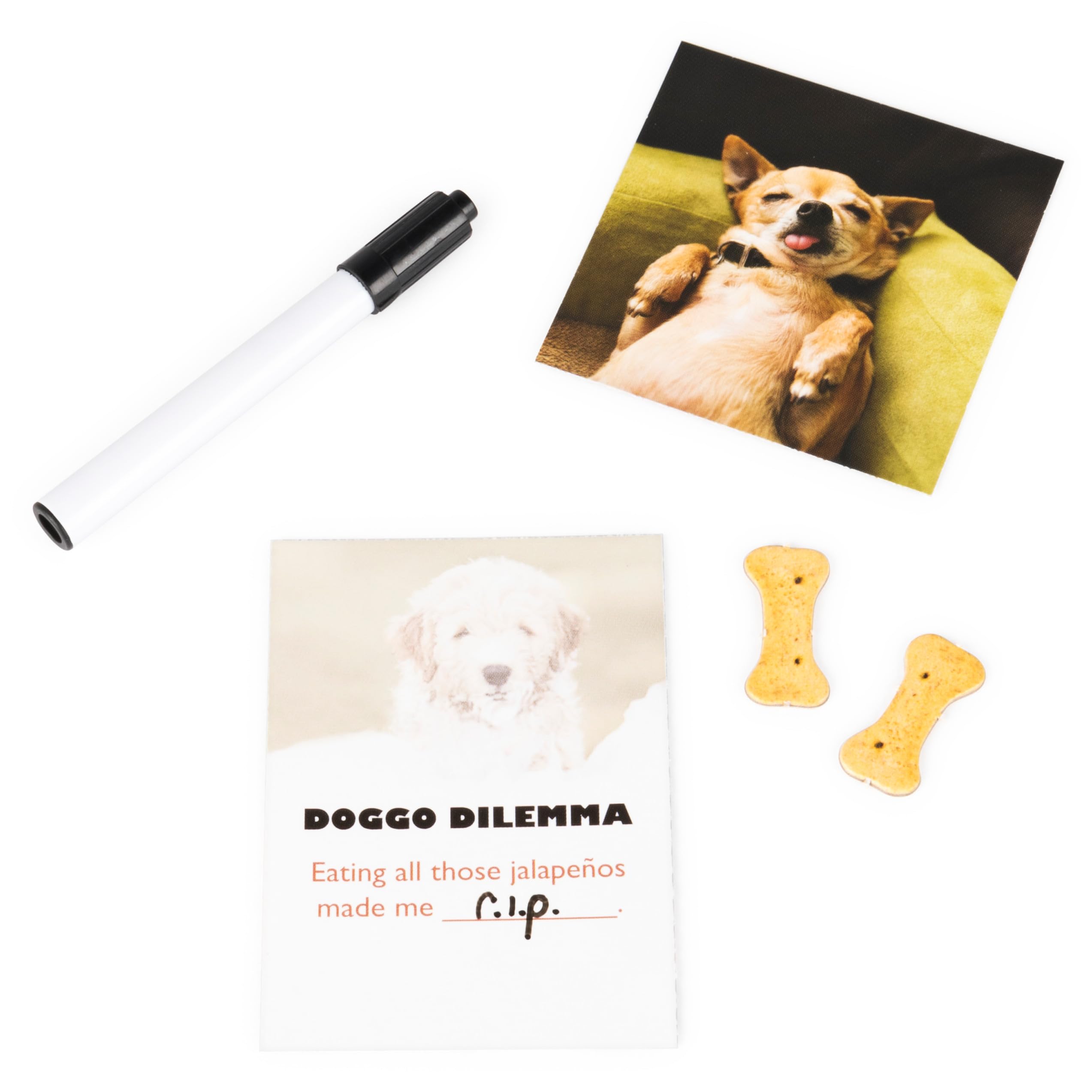 The Dog Game, Hilarious Family Game with Doggos, for Ages 8 and Up