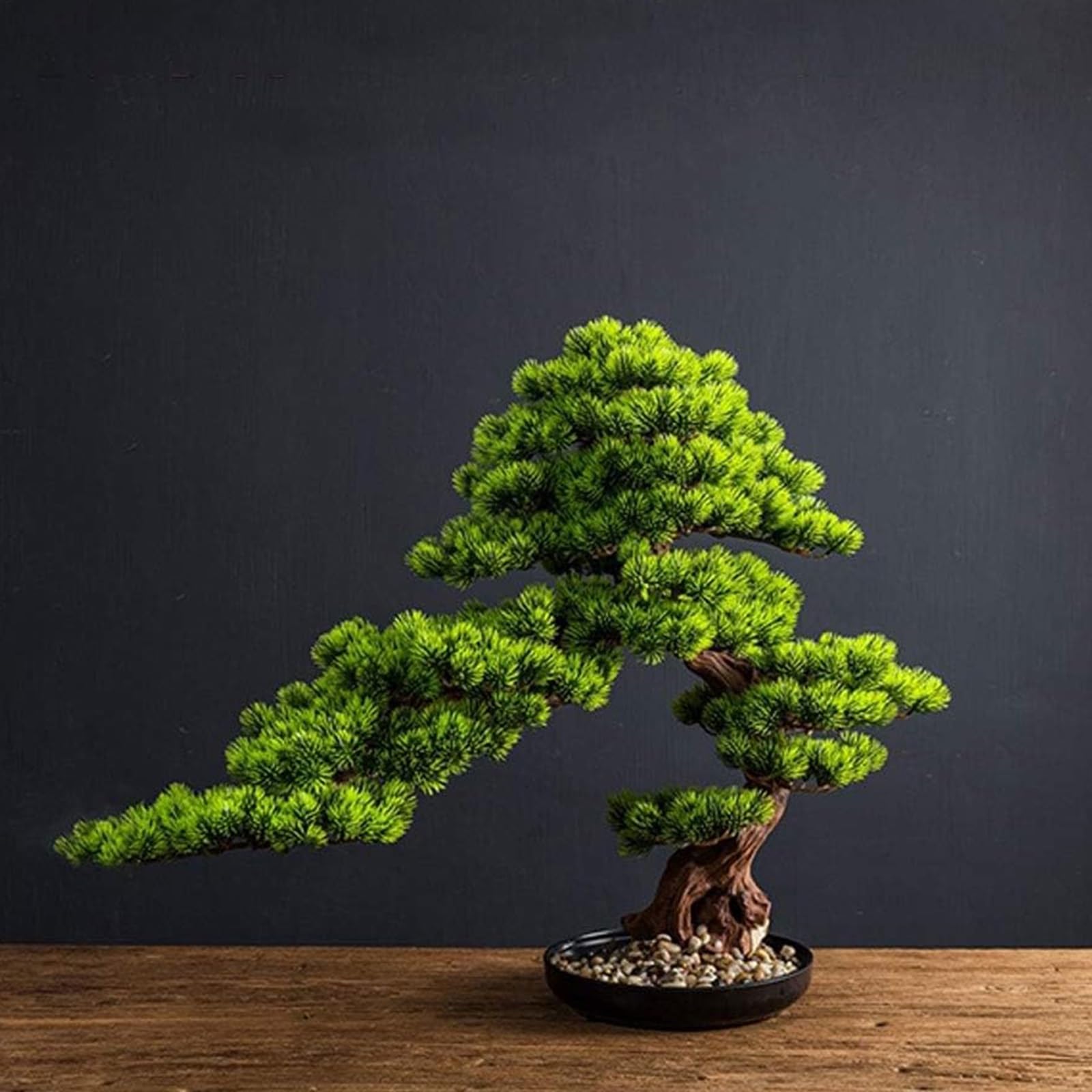 Bonsai artificiale realistico, pino cedro, podocarpo, pianta con fioriera in ceramica nera, decorazione per bagno e scrivania