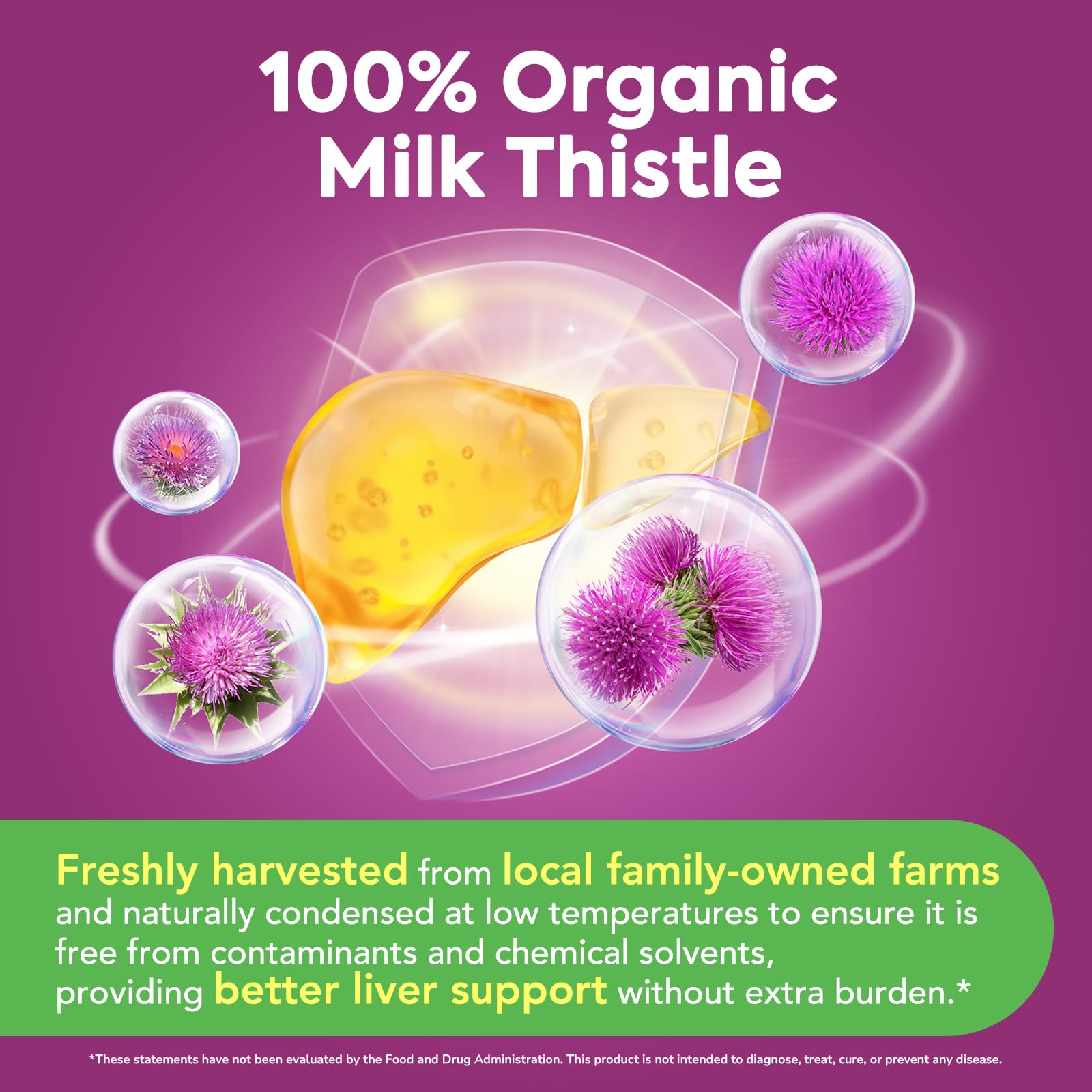 Organic Milk Thistle, Concentrated Seed Extract, 80% Silymarin, Liver Support Cleanse Detox, Fatty Liver Supplements, Non-GMO, No Gluten & Soy, 60 Veggie Caps, 2 Month Supply — Amazon image 2