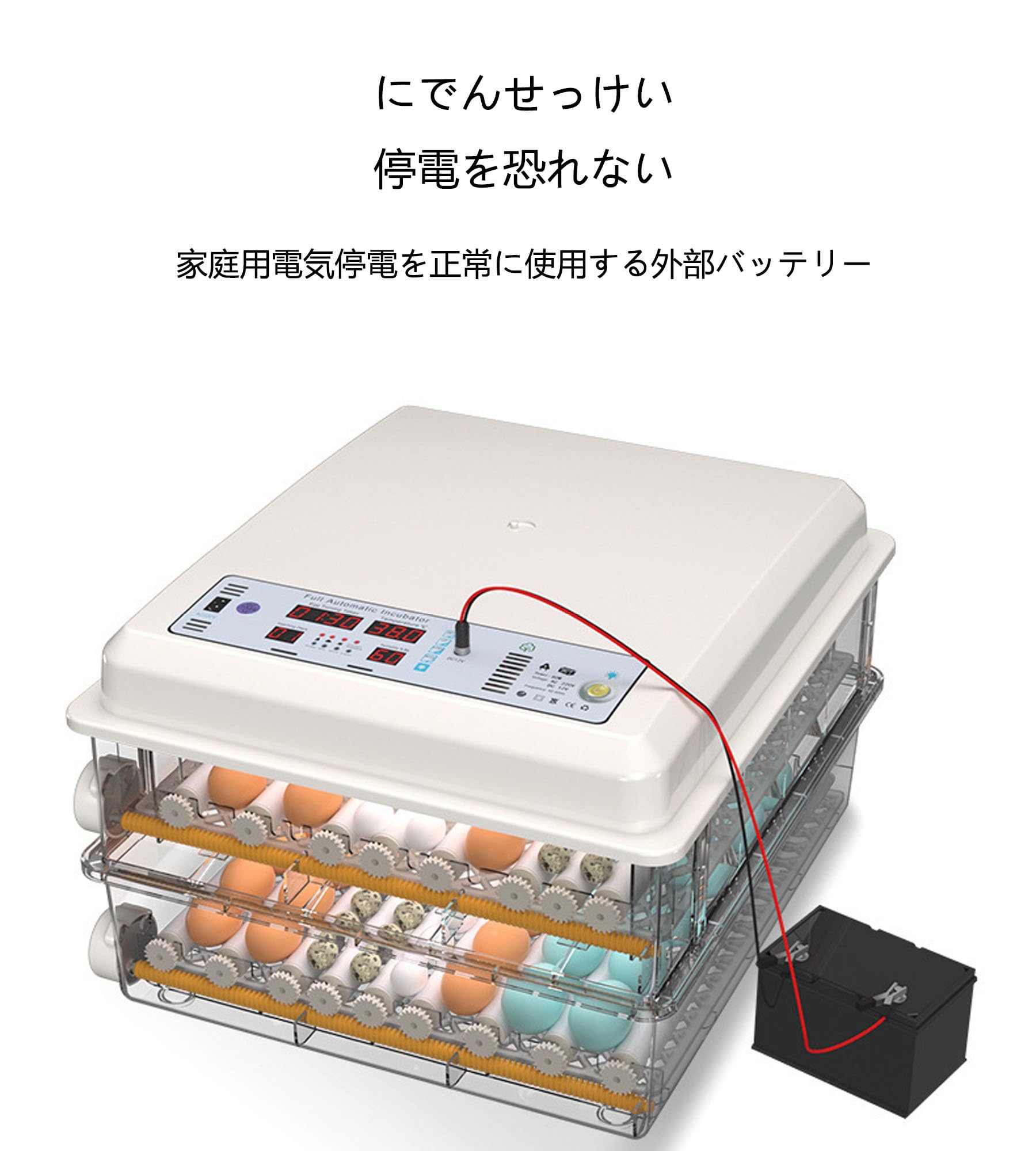 Amazon | 自動孵卵器 うずら孵卵機 自動温度制御孵卵器