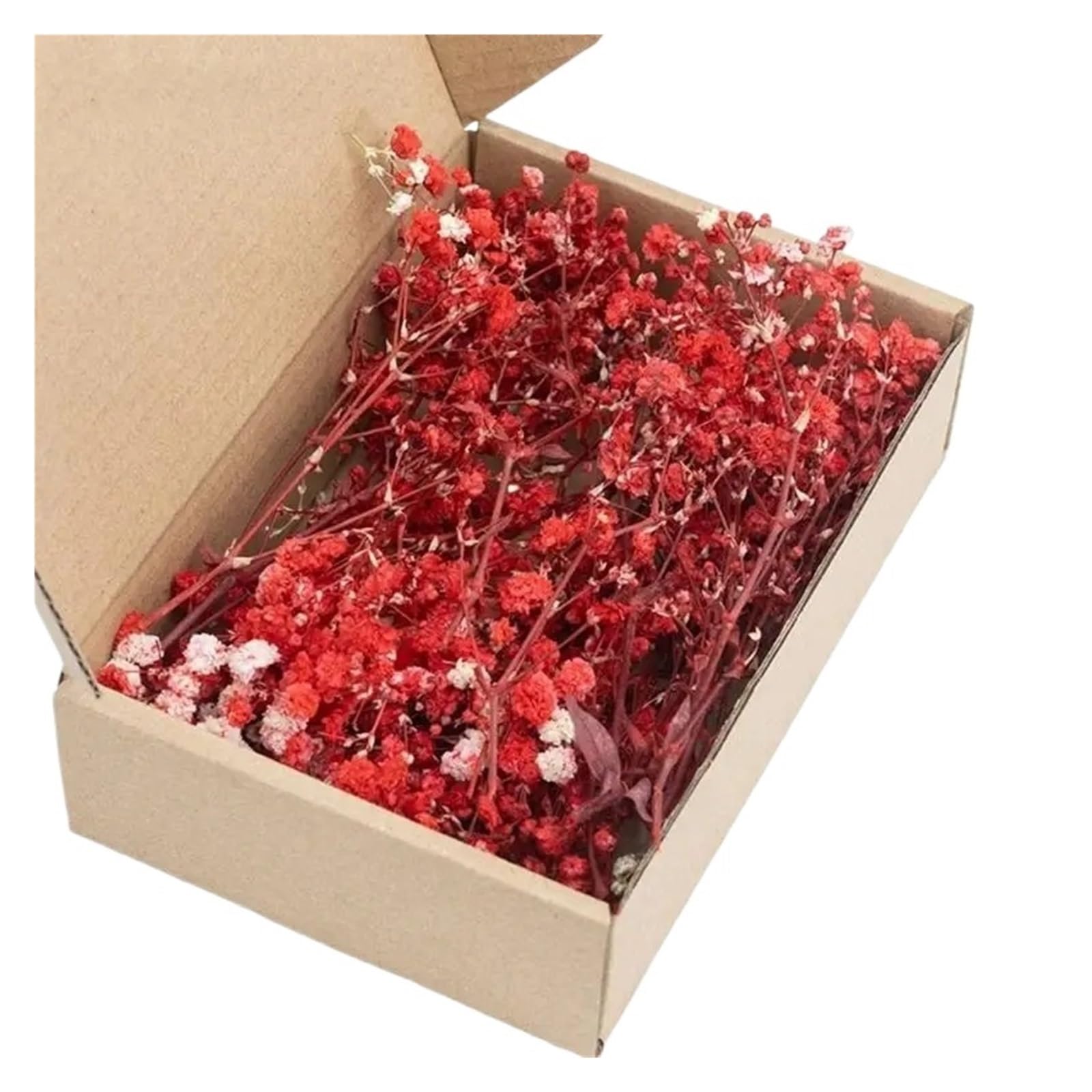 WJIAYAO dried gypsophila flowers Pack of 100 Preserved White Gypsophila Dried Flower for Home Decoration Floral Arrangements And Craft Projects(Color3)