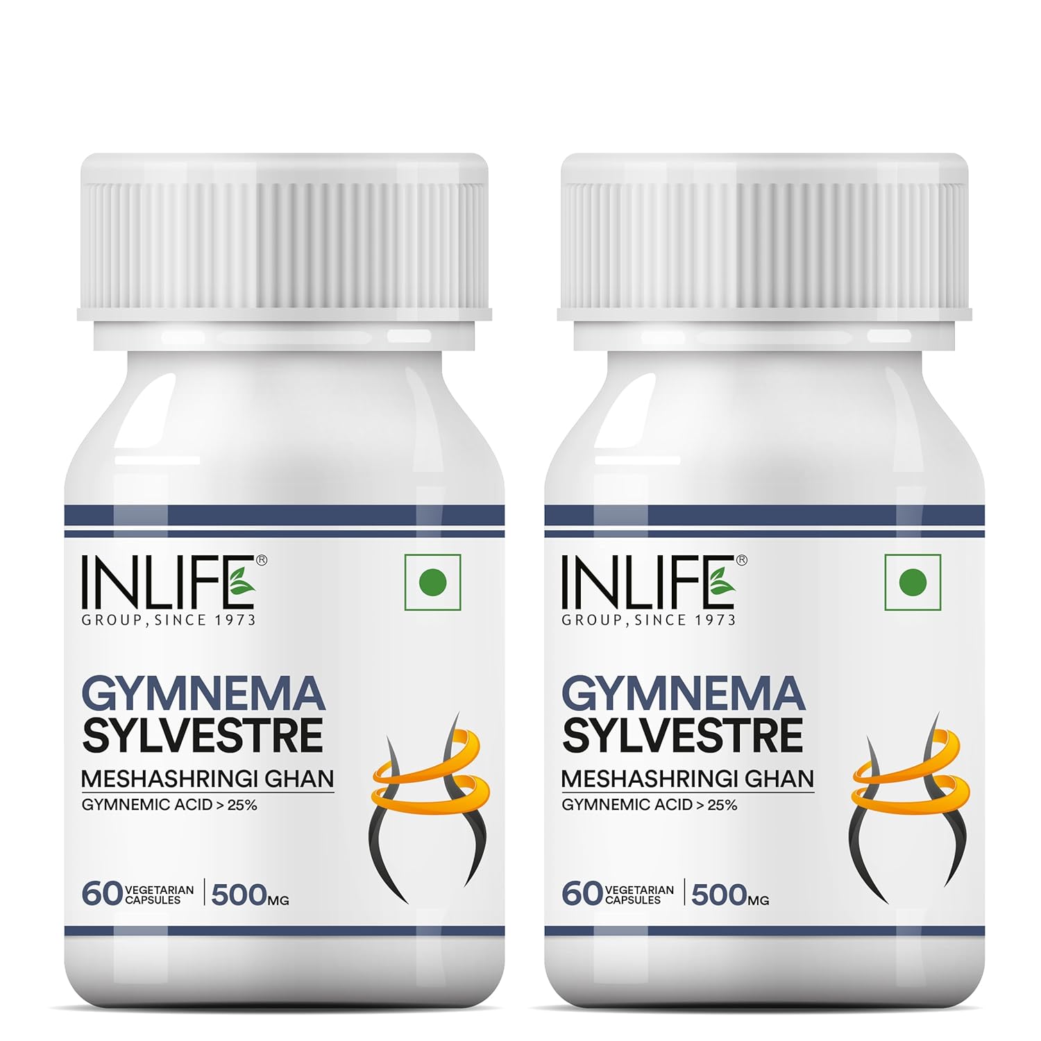 INLIFE Gymnema Sylvestre Capsules 500mg | Ayurvedic Herbal Supplement |60 Vegetarian Capsules (Pack of 2, 120)