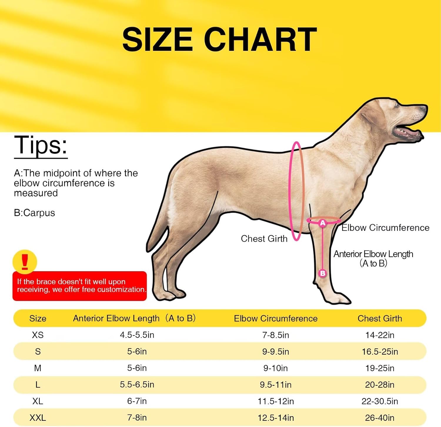 Dog Elbow Brace XL for Right Leg – Designed for Dogs with Elbow Dysplasia, Hygroma or Joint Instability – Shoulder and Elbow Support Wrap – Size XL for Large Dogs