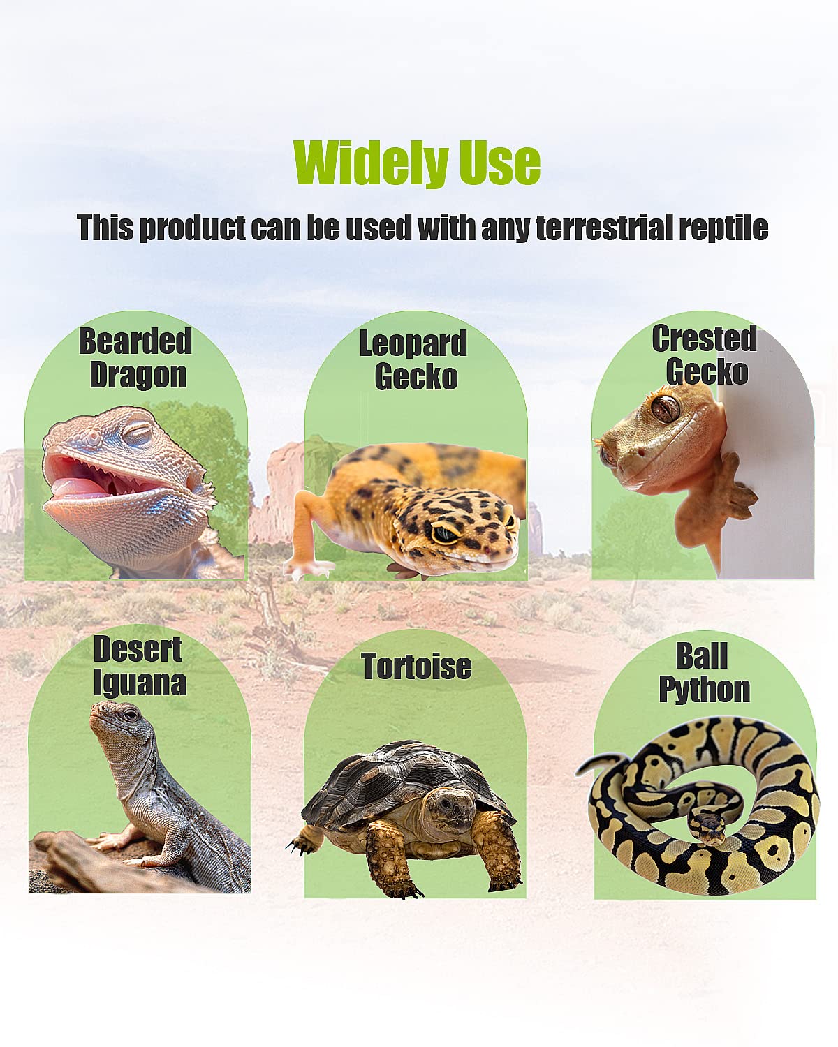 Accesorios para tanque de dragón barbudo, piso de sustrato de reptil para recinto de dragón barbudo 4 x 2 x 2, tapete para tanque de reptiles de 120 galones