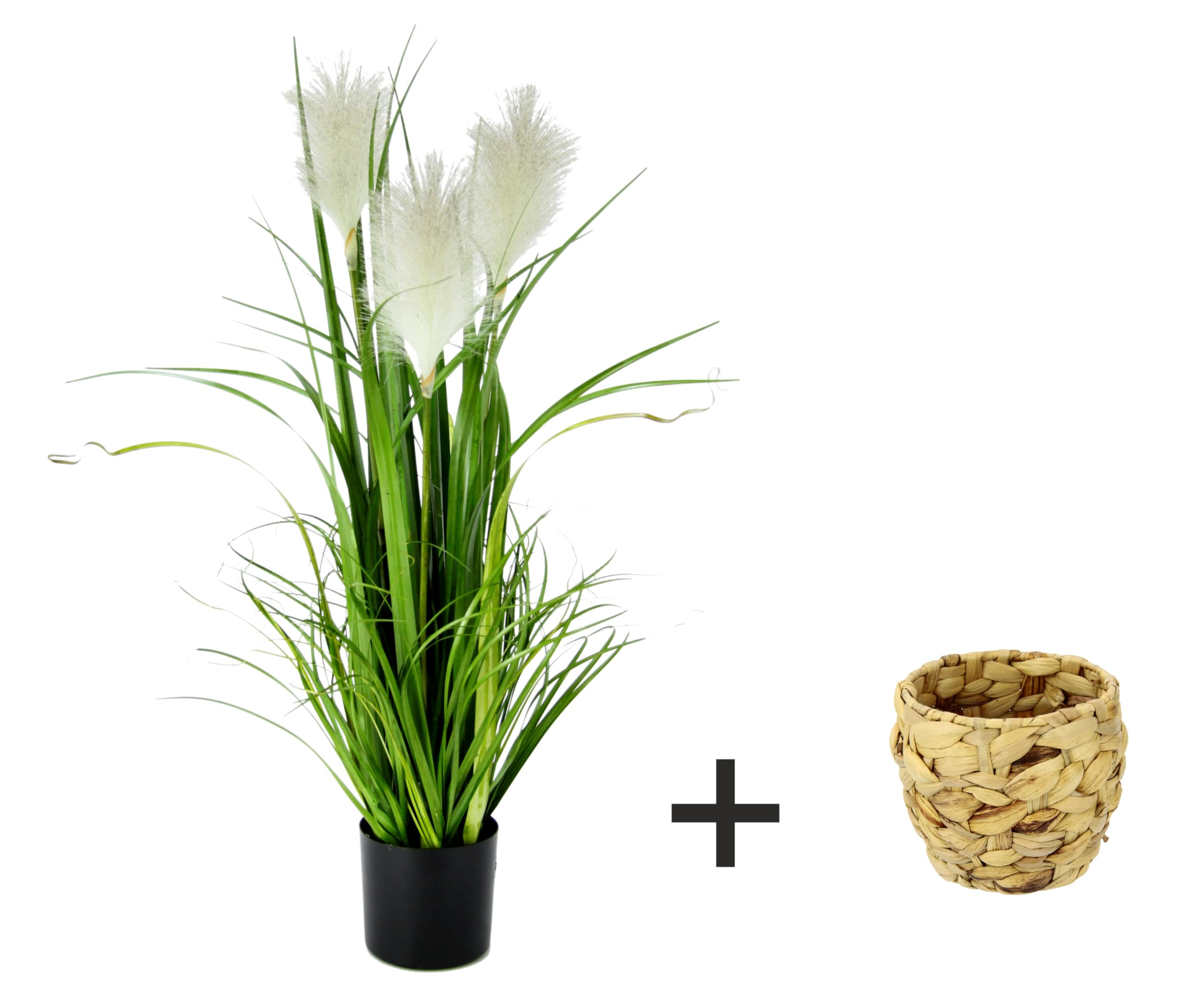 Künstliches Pampas Gras im Topf Feder Ufergras Seidenblume Grasbusch Dekogras Gras Gräser Kunstpflanze Pflanze Solitärgras Ziergras Dekopflanze Pampasgras Blume Kunstgras Grünpflanze Zimmerpflanze