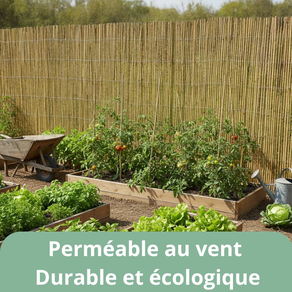 AUBRY GASPARD - Canisse en Lames De Bambou - Brise-Vue Esthétique et Écologique - Livrée Roulée Dans Un Sac De Transport - Parfaite pour Jardin et Terrasse - Naturelle - 150X500 cm