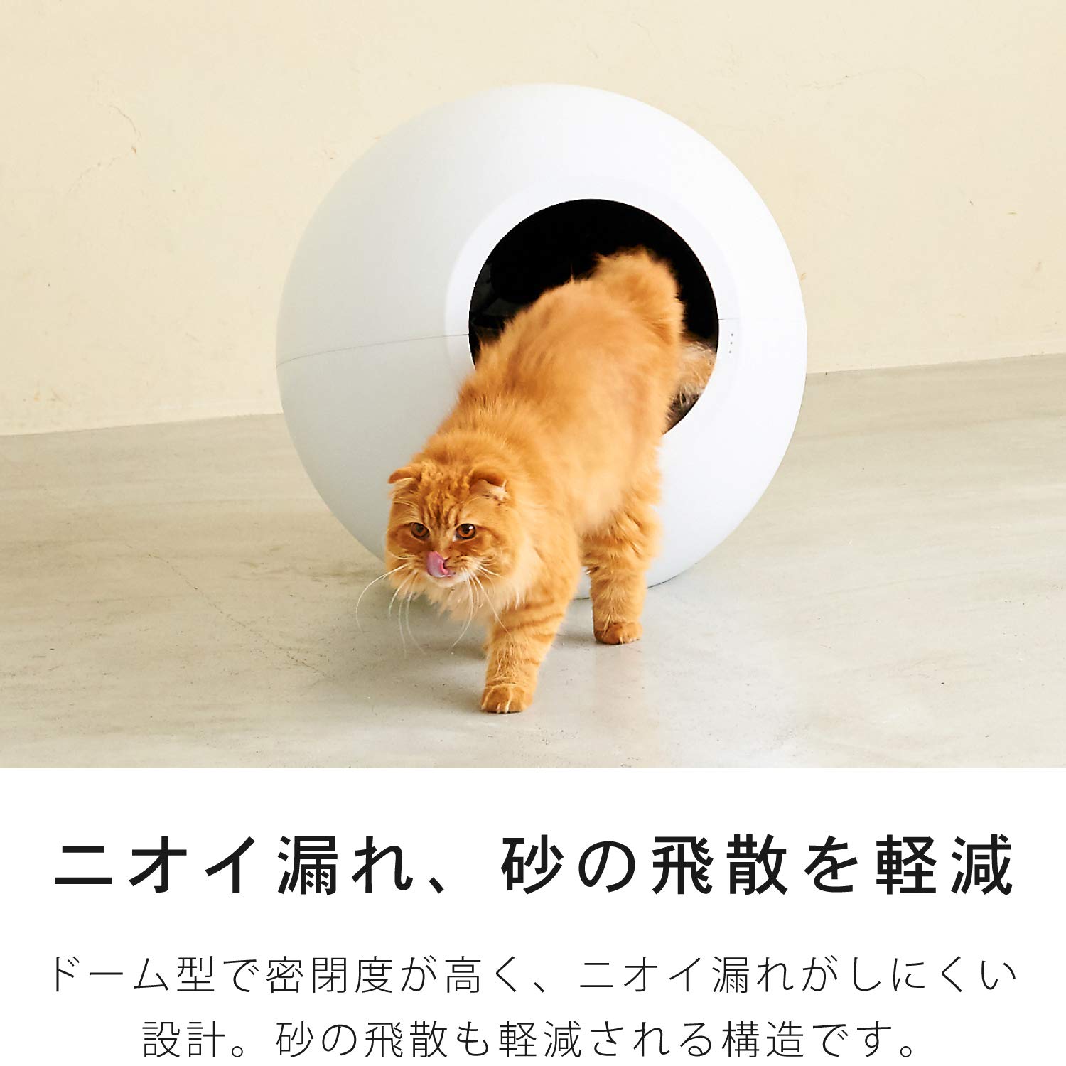 Amazon | 【OFT】 自動猫トイレ CIRCLE 0 本体 サークル ゼロ 日本正規  