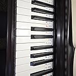 Review Image by Donata Donata