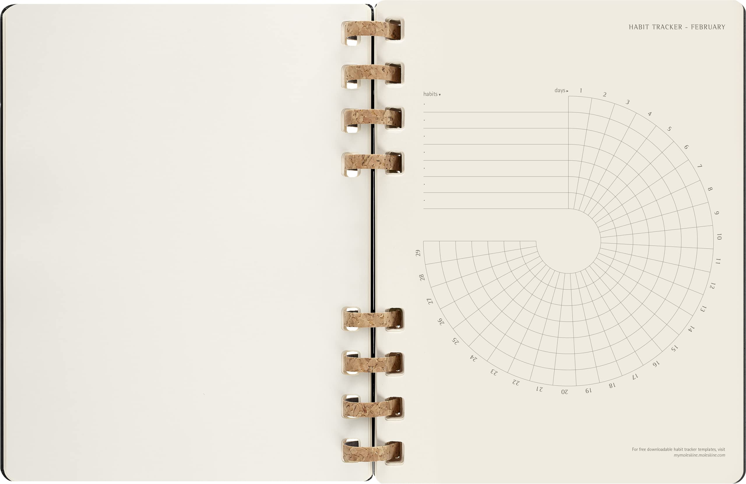 Moleskine Wochen- und Monatsplaner , 12 Monate 2024, Agenda 2024, XL 20,4x25,2, Hardcover mit Gummizugverschluss, Farbe Schwarz