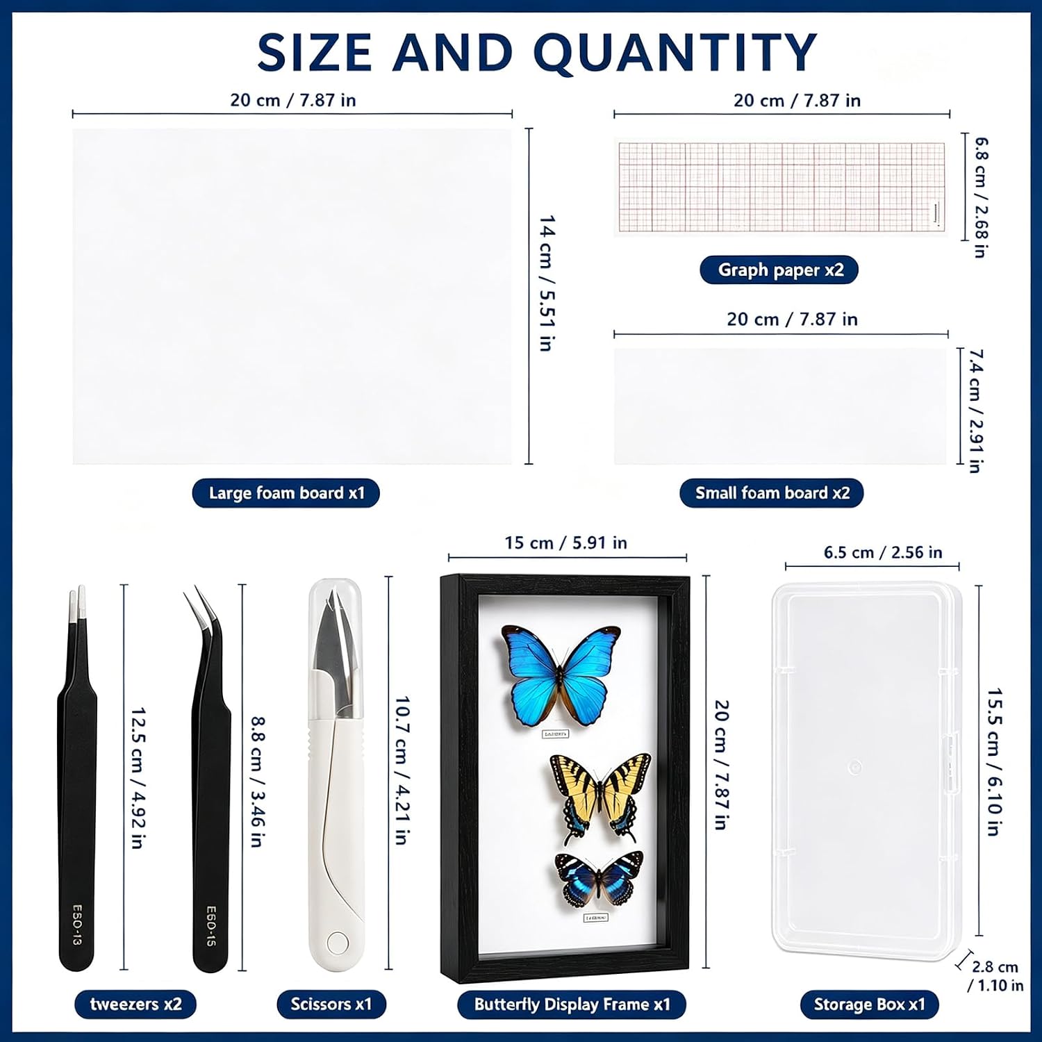 Insect Pinning Kit for Beginners with Large Display Case & Insect Pins