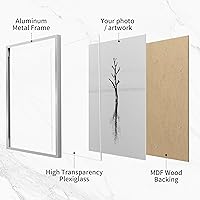 Vista 341 de Fun Memories Portarretratos de metal de 16 x 20 pulgadas con paspartú de 11 x 14 pulgadas, acabado de aluminio cepillado, parte delantera de vidrio