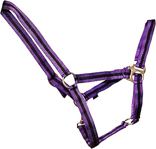 HY Duo Head Collar(Purple/Black, Full) by Y-H