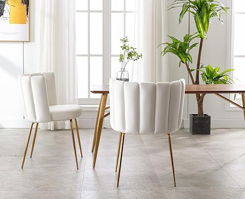 Miniatura 3 de Juego de 2 sillas de comedor de terciopelo tapizadas con patas de metal dorado crema de mediados de siglo, modernas sillas decorativas para sala de