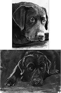 Labrador Wall Art Prints, Lab Gift Expressive Black Labrador Retriever Charcoal Drawings, Pet Dog Owner stocking filler Choice of size signed by Oscar Jetson (a4)