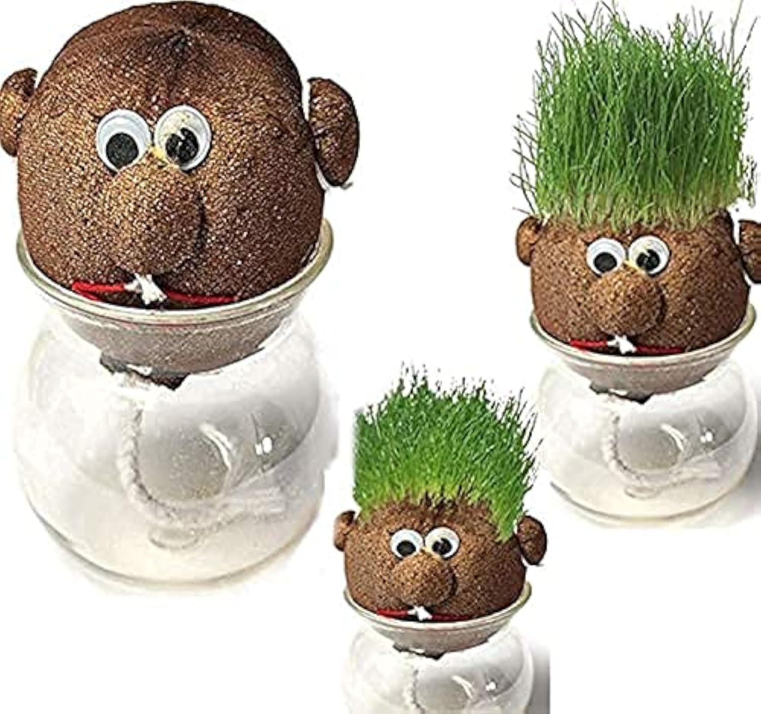 Growing Grass Head - 7x6cm