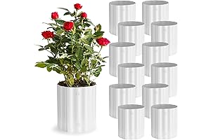 12 Pcs Winter Rose Collars for Enhanced Winter Protection