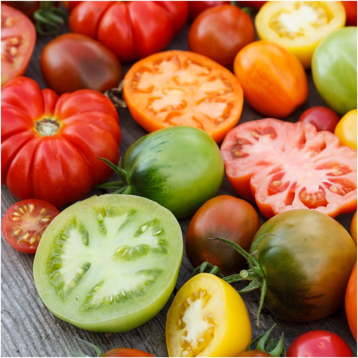 Seed Needs, Rainbow Blend Tomato Seeds for Planting (10+ Varieties) Single Package of 70 Seeds - Heirloom, Non-GMO & Untreated
