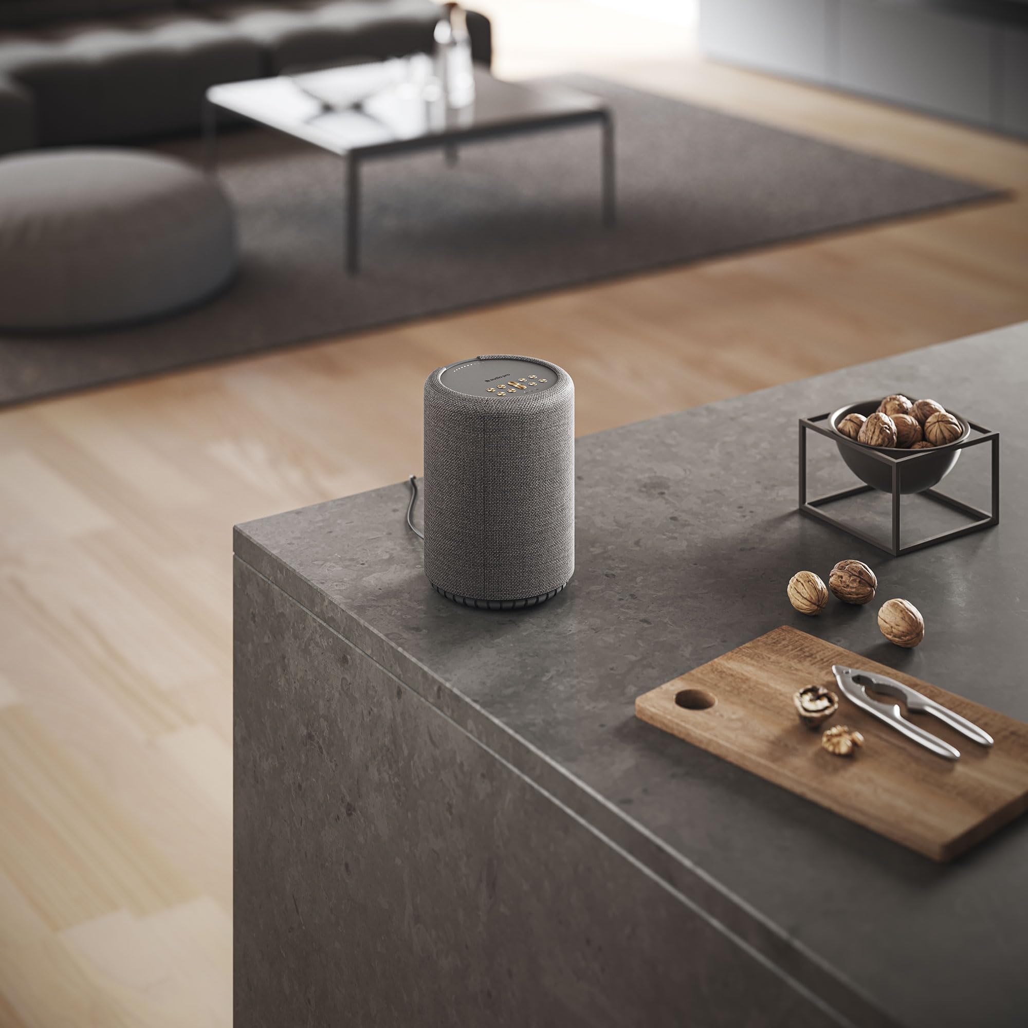 Audio Pro A10 MkII W, WiFi & Bluetooth 5.0 Multiroom-Lautsprecher, 52 W Digitale Klasse D, 300 Hz Crossover, AirPlay 2, Google Cast, Spotify Connect, Bluetooth 5.0, Wand-/Deckenhalterung (Grau)