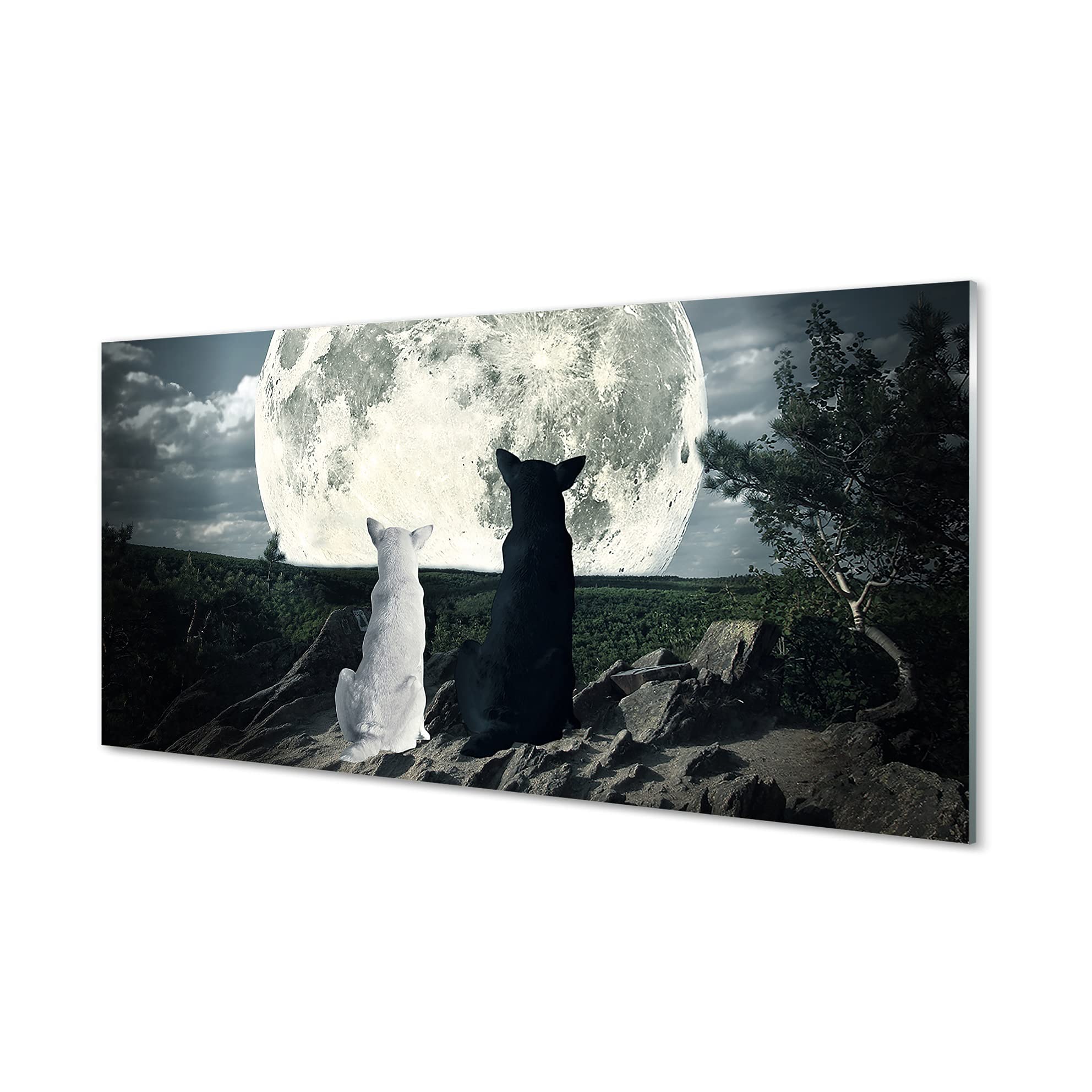 Impression sur verre 100x50 cm loup lune forêt tableau mural