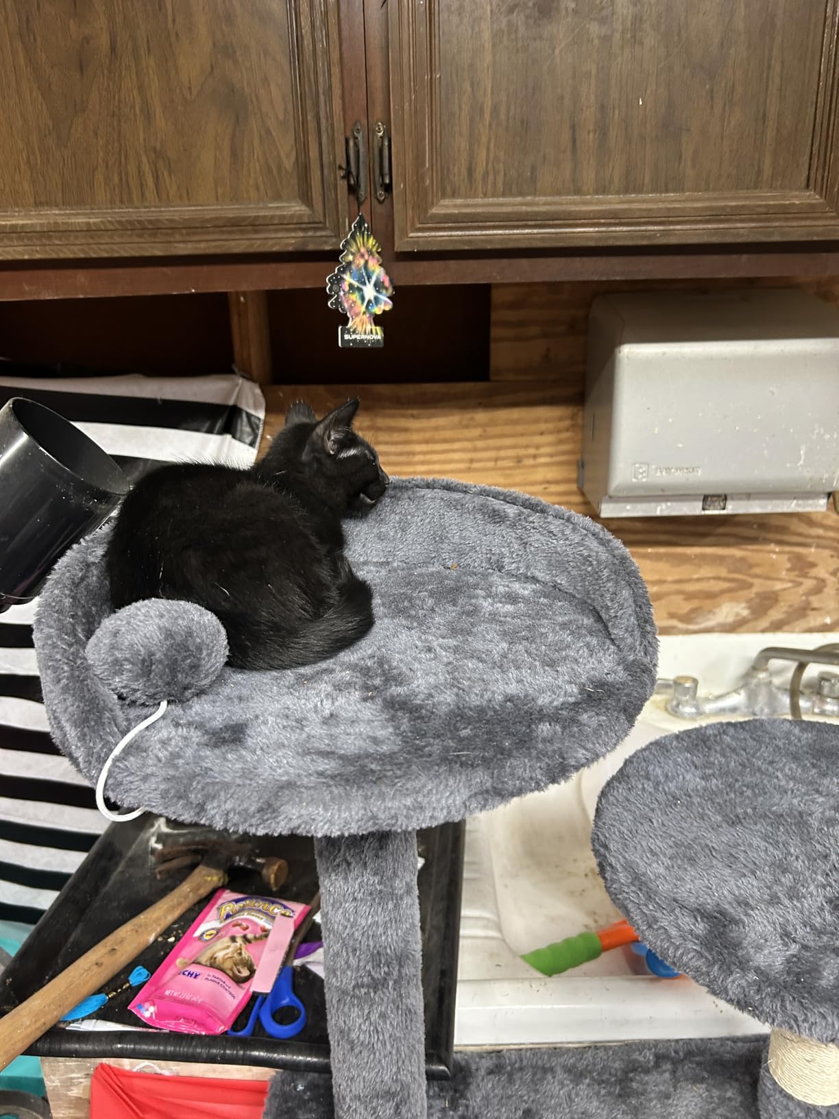 FDW Cat Tree 54in Cat Tower Multi-Level Durable Cat Scratching Post & Cozy Fun Cat Jumping Platform Space Saving Cat Condo Pet Play House for Indoor Cats,Dark Gray photo review