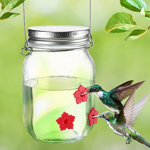 MEWTOGO Comedero para colibríes de 16 onzas para exteriores, comedero de vidrio resistente con 6 flores de silicona a prueba de fugas, amplia