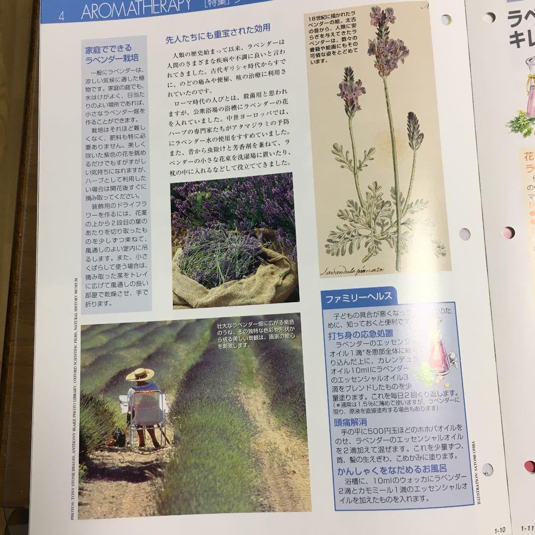 アロマテラピー&ナチュラルライフ 2025年最新】アロマテラピー ナチュラルライフの人気アイテム