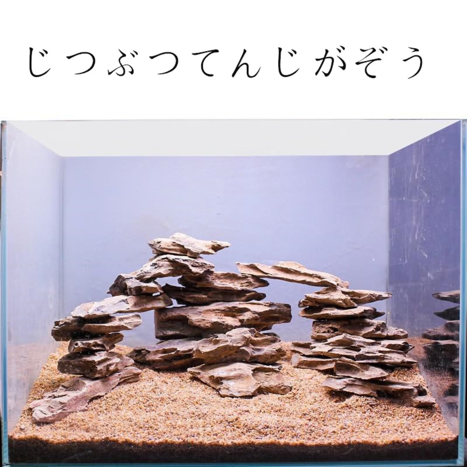 Amazon | 水槽用造景岩セット（天然松皮石） (0.5, キログラム