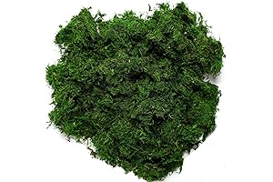 Byher Preserved Green Aquatic Moss for Vivid Aquascapes
