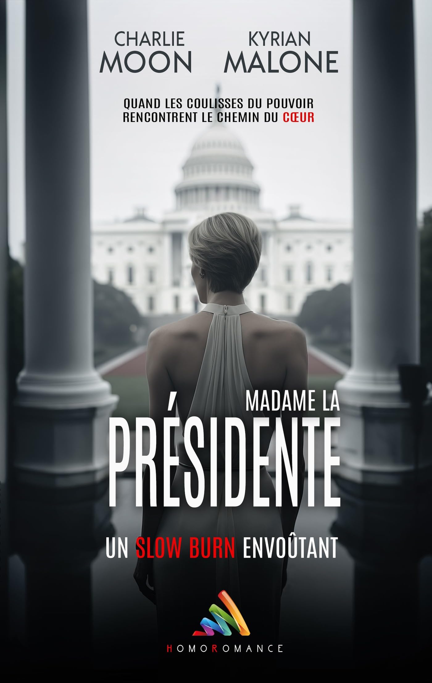 Madame la Présidente: Roman lesbien, Livre lesbien