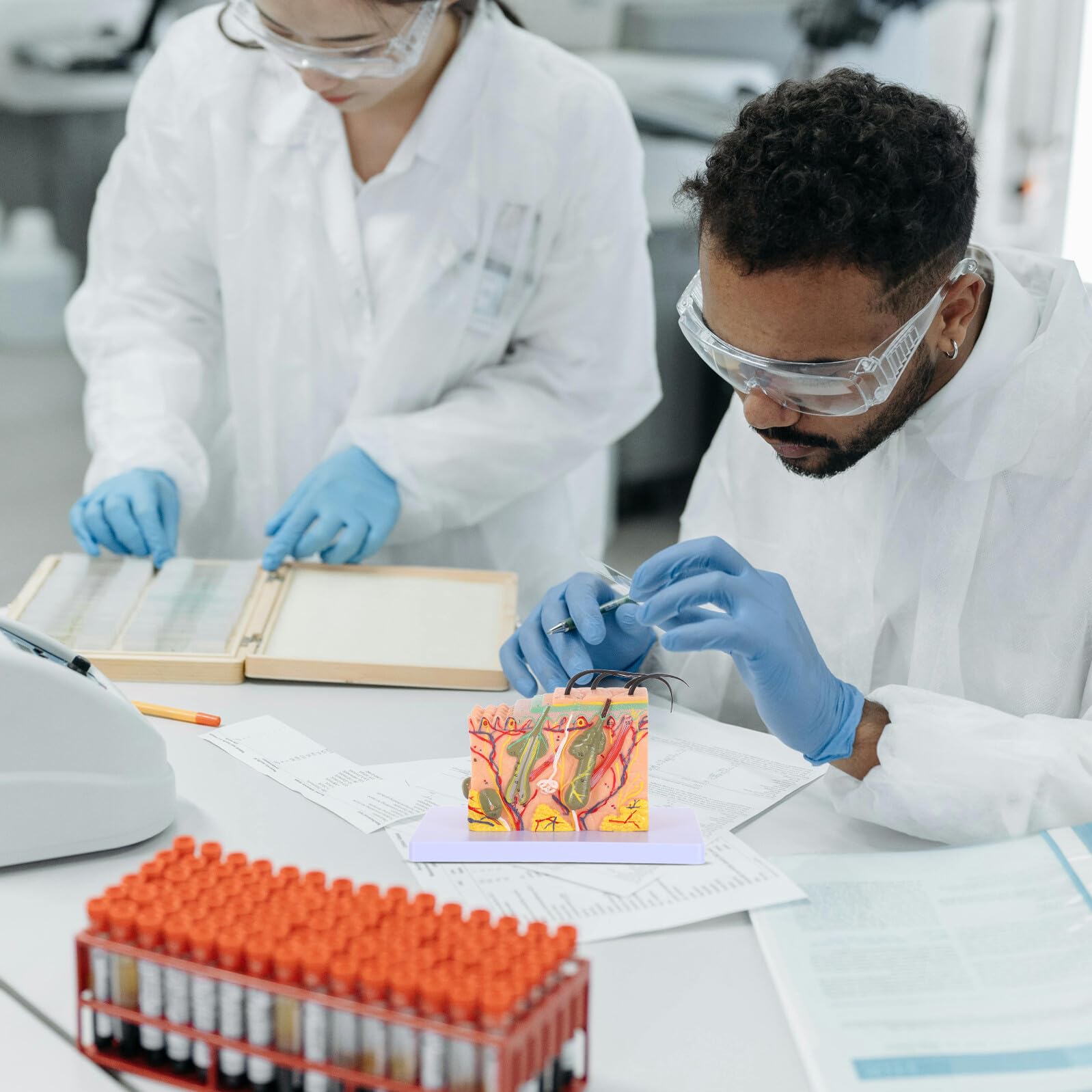 Modello Didattico di Anatomia della Pelle Umana Ingrandito 35 Volte Modello Anatomico Sezionale per Formazione Medica Strumento Scientifico per Scuole e Laboratori di Biologia