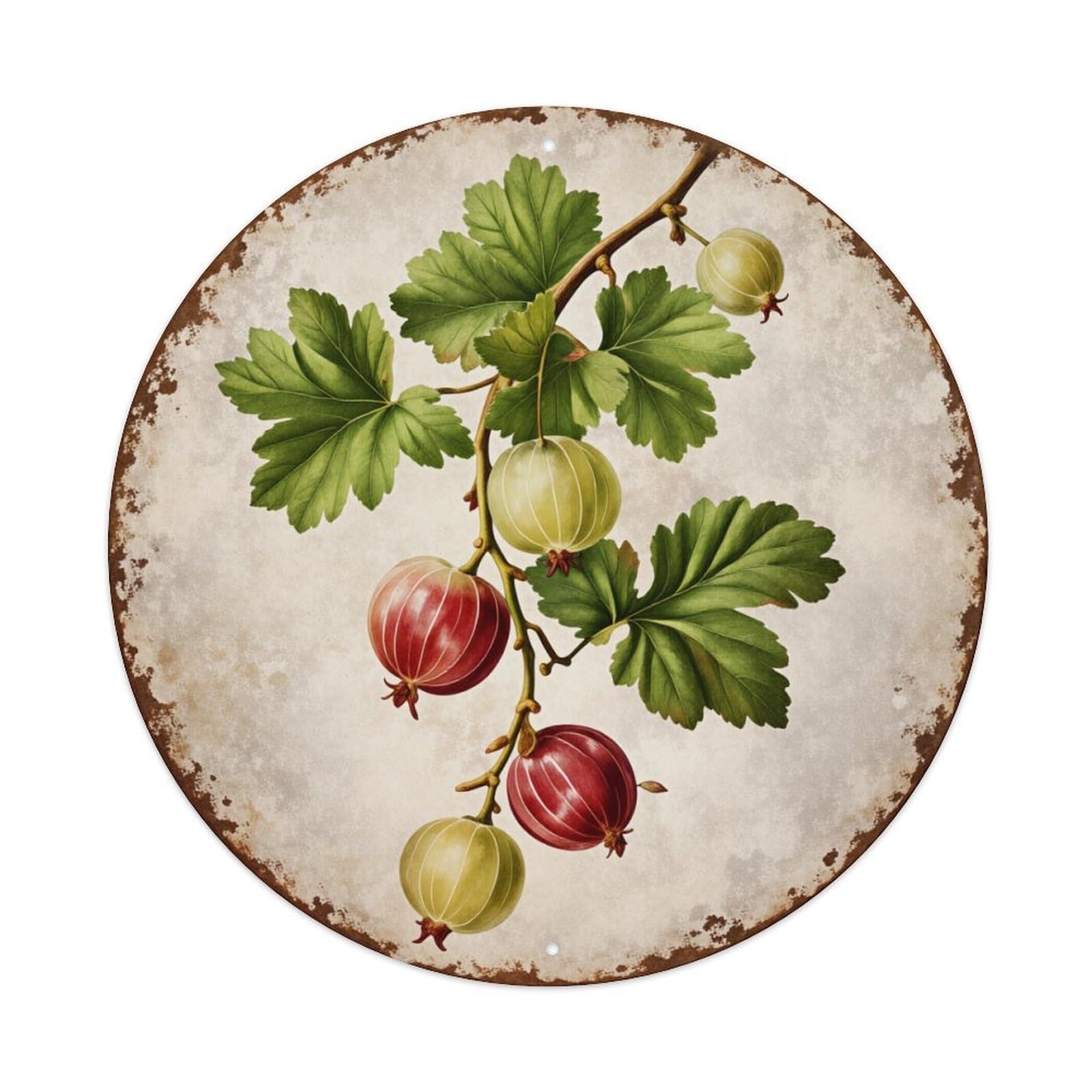 Gooseberry Branch With Leaves And Berries Round Tin Sign Vintage Metal Poster, Home Bar Garage Man Cave Cafe Indoor & Outdoor Wall Decoration 8x8Inches