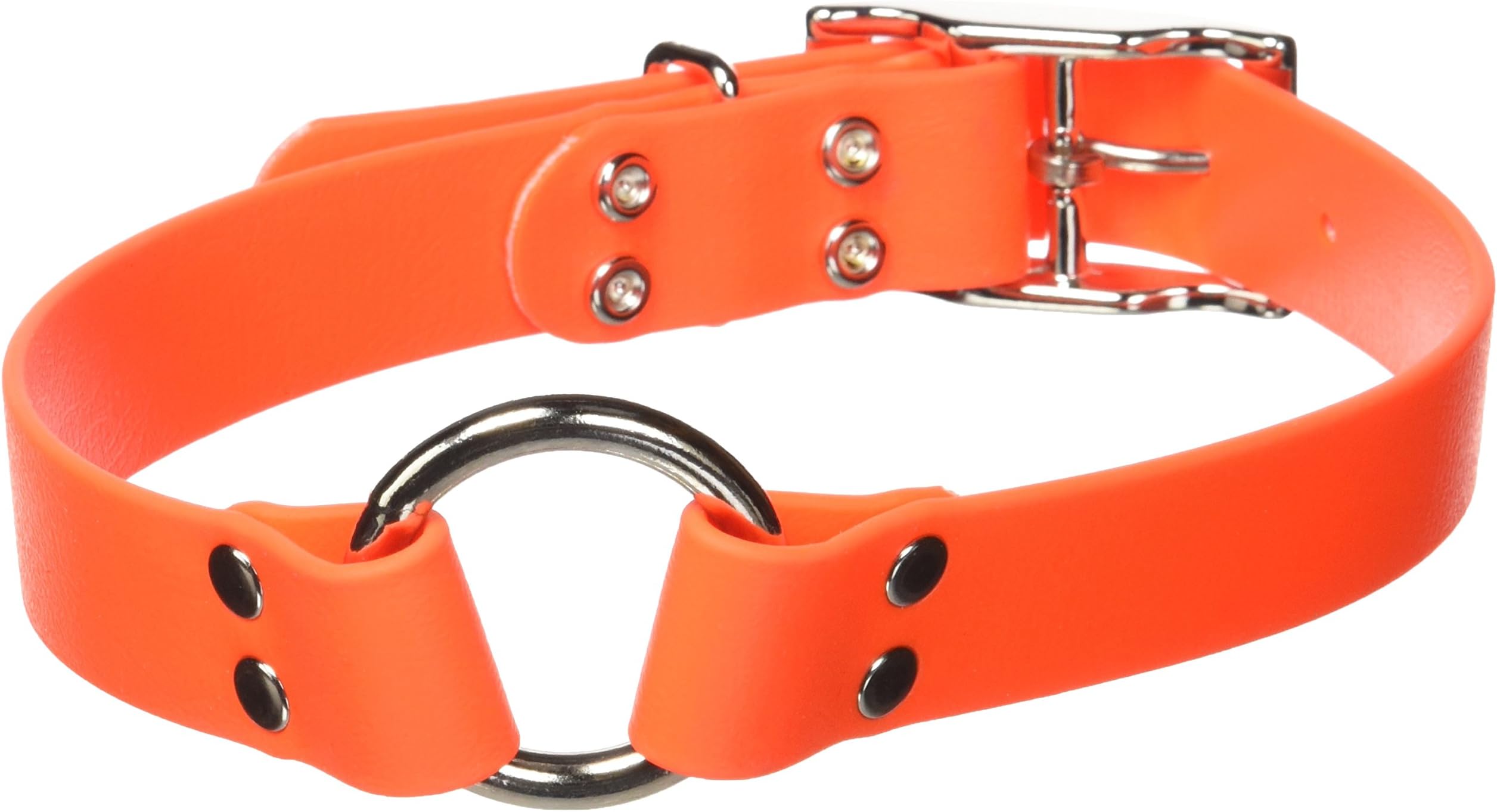 Remington Orange 1-Inch by 22-Inch Waterproof Dog Collar