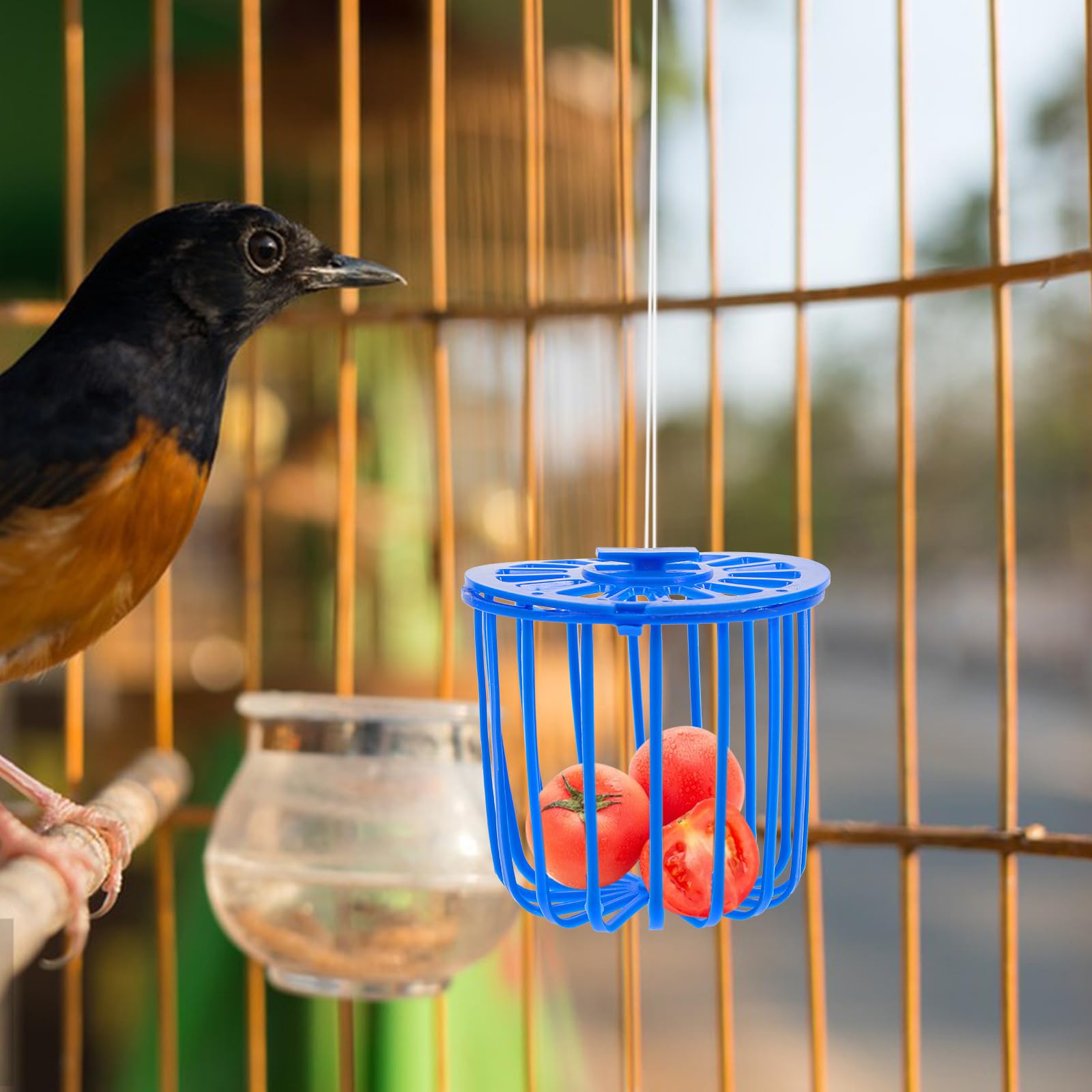 Mipcase Lot de 10 distributeurs de nourriture pour animaux domestiques - Accessoires pour animaux domestiques - Mangeoire à oiseaux - Mangeoire à légumes pour perroquet - Mangeoire à pinsons - Panier