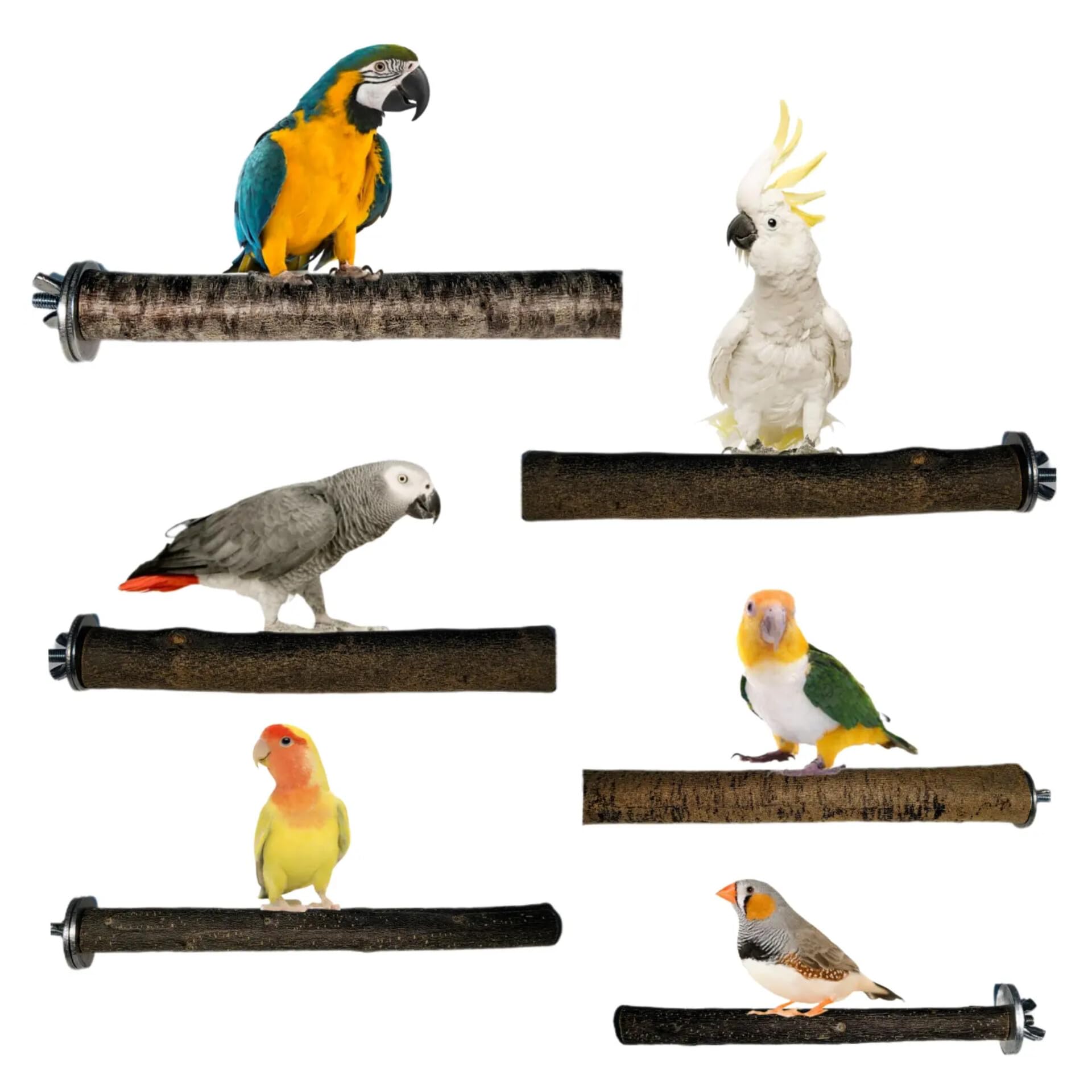 Perchas para loros, pack 2 y 3 und para jaulas de pájaros, posadero ideal para el descanso de aves, comedero o zona de juegos, lima uñas y pico natural, CALIDAD PREMIUM. (2 und aves medianas)