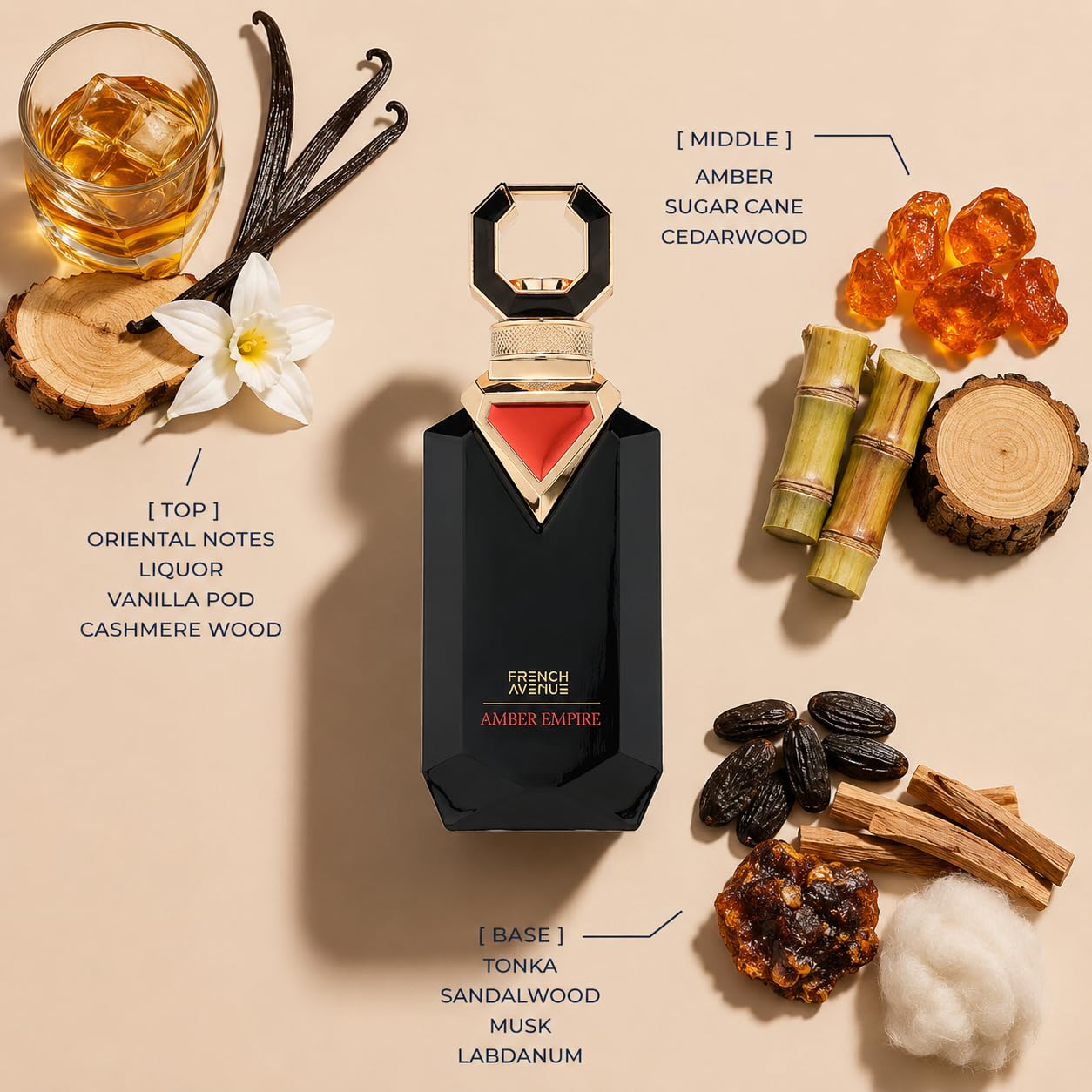 French Avenue Amber Empire, Oriental Amber Extrait de parfum pour homme, 100 ml, avec des notes d'ambre, de vanille et de bois de santal
