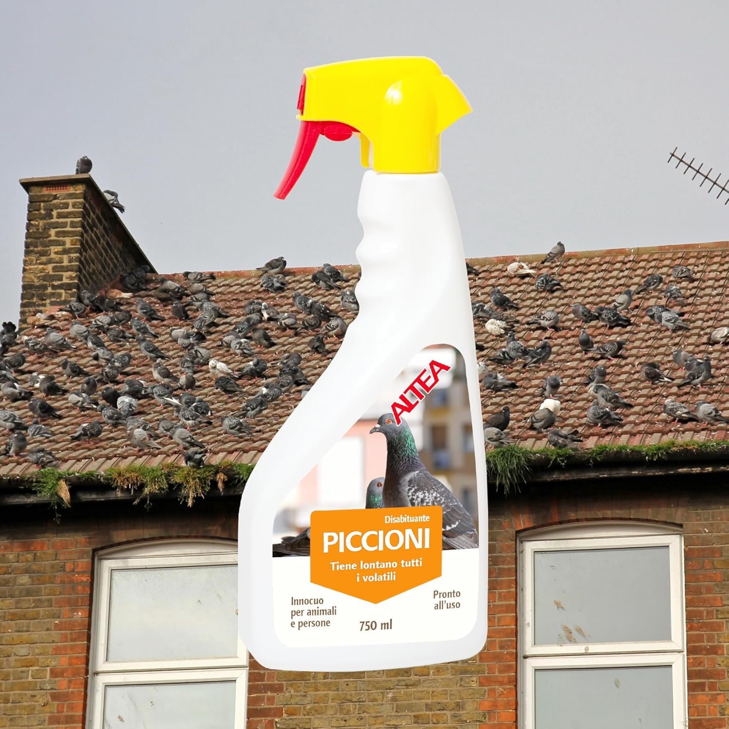 Altea Borne de pigeon, répulsif à pigeons longue durée, non nocif pour les humains et les animaux domestiques, éloigne les pigeons et les mouettes, spray prêt à l'emploi 750 ml