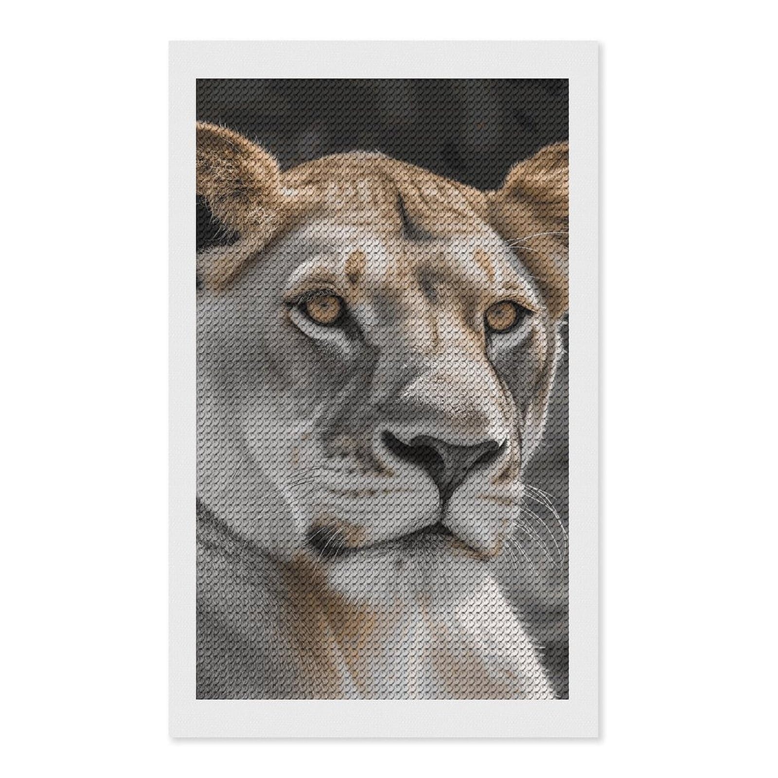 FodPand Lioness Diamond Painting Kits for Adults Beginners 12x20 Full Drill Diamond Art with DIY Tools Round 5d Diamonds Dots Crafts Gem Art Paint by Diamonds for Home Wall Decor Relaxing Gift