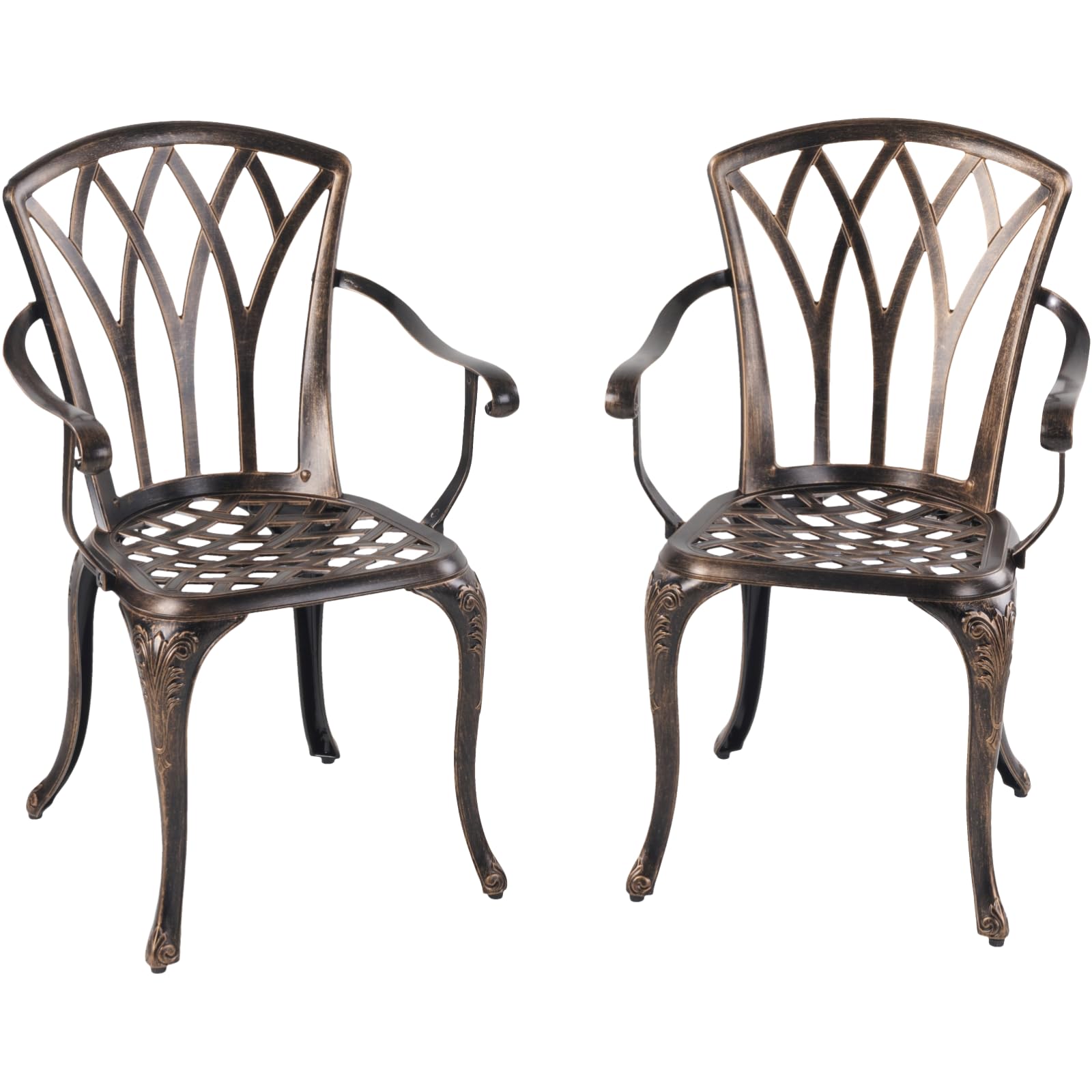 Lot de 2 chaises de jardin en fonte d'aluminium - Design roses - Style antique - Fauteuil en bronze antique