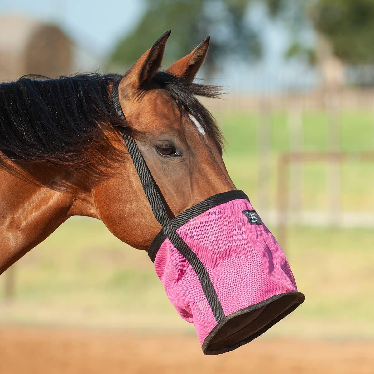 CASHEL Company Feed Rite Bag Horse Pink, (FRB-PNK)