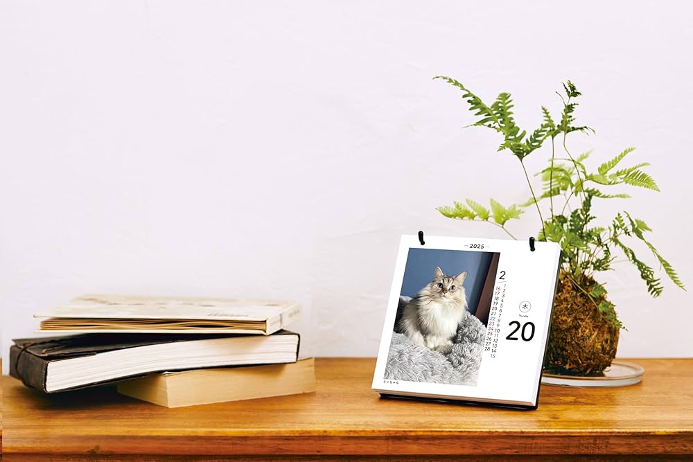 値下げ⭐️日めくりニャンコ！2025年(卓上日めくりカレンダー猫版) 台座付き Amazon | 日めくりニャンコ！2025年(卓上日めくりカレンダー猫版