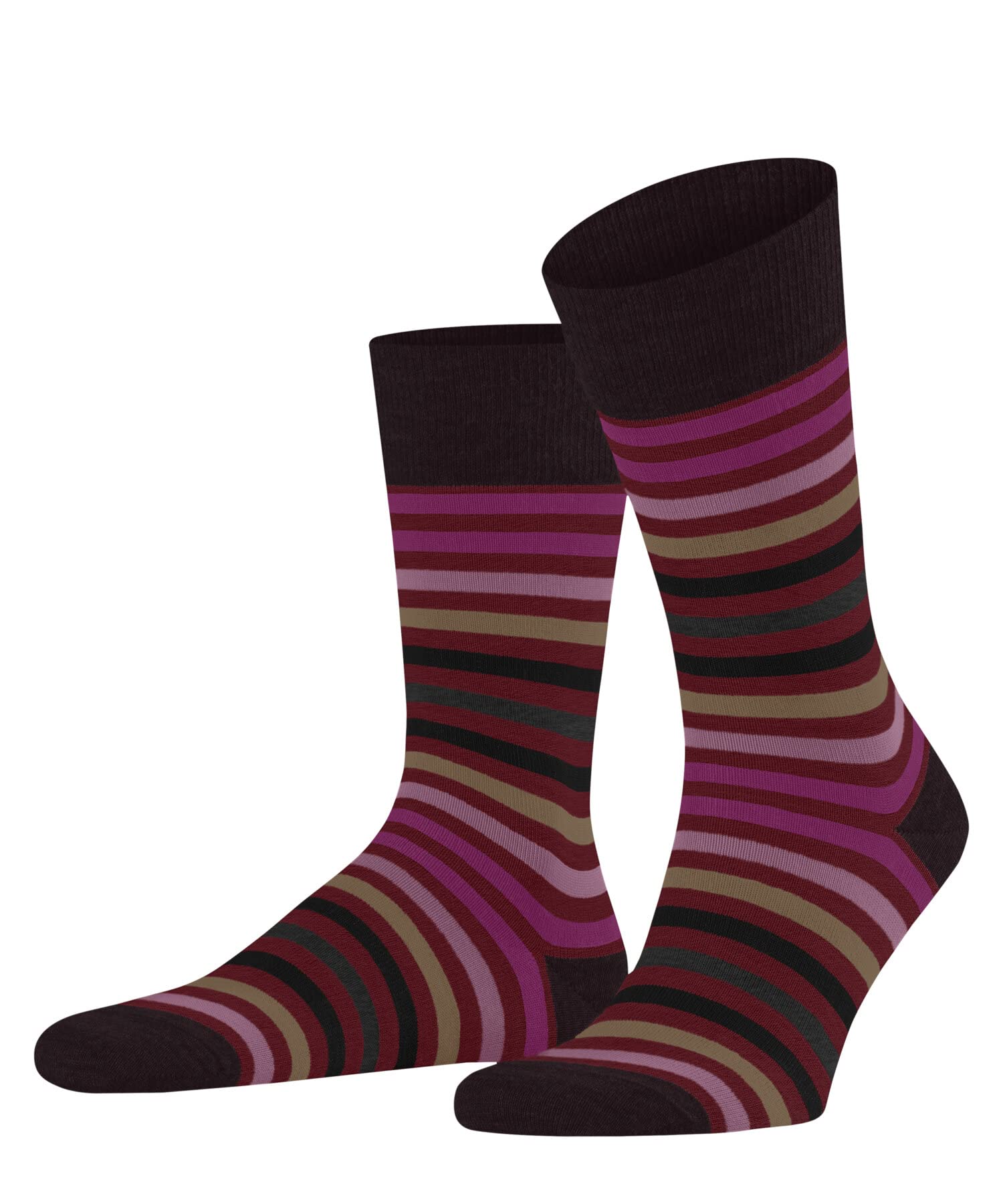 Falke Men's Red Ingle 8077 Tinted Stripe M So Wool Cotton Patterned 1 Pair Socks, 5.5-8