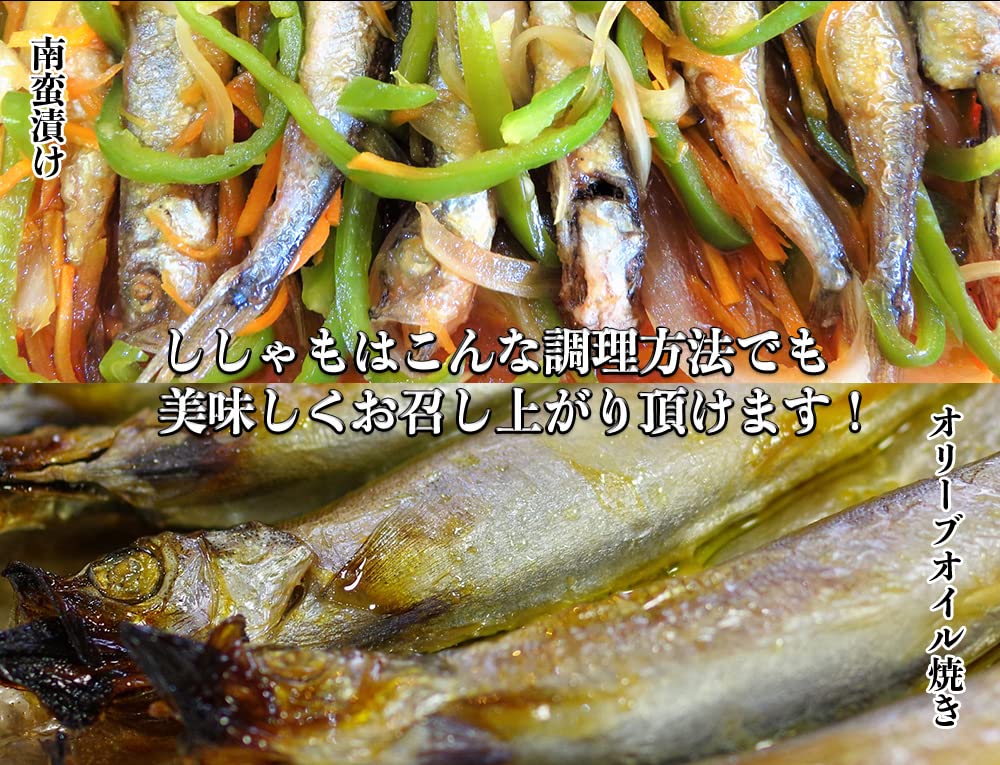 Amazon.co.jp: ししゃも 北海道産 柳葉魚 希少な本物 天然 本 シシャモ