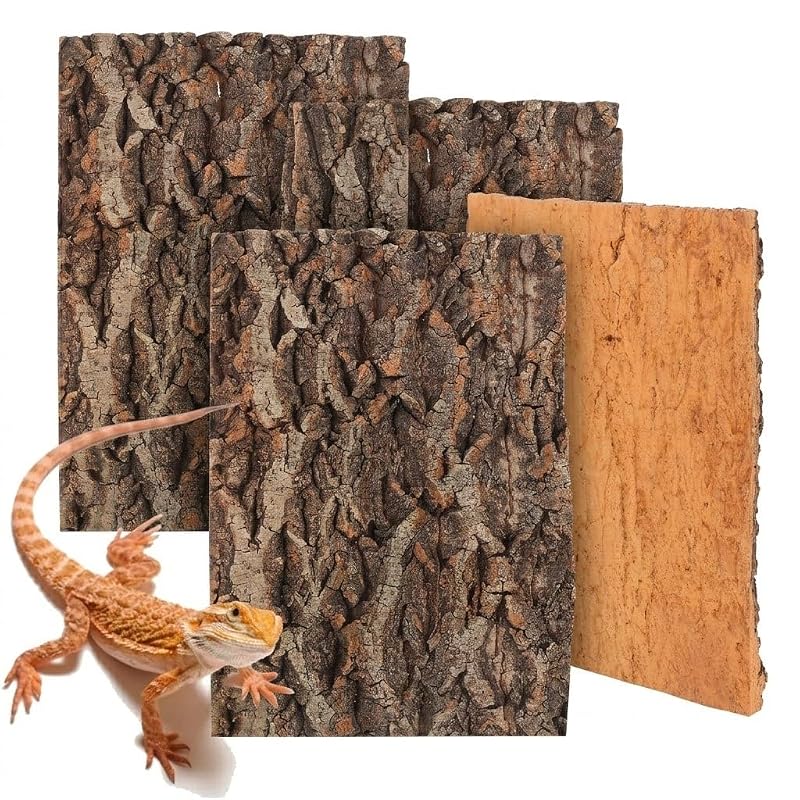 Plataformas de Cortiça para Terrário com Decoração em Madeira Natural Didiseaon, Pacote com 4