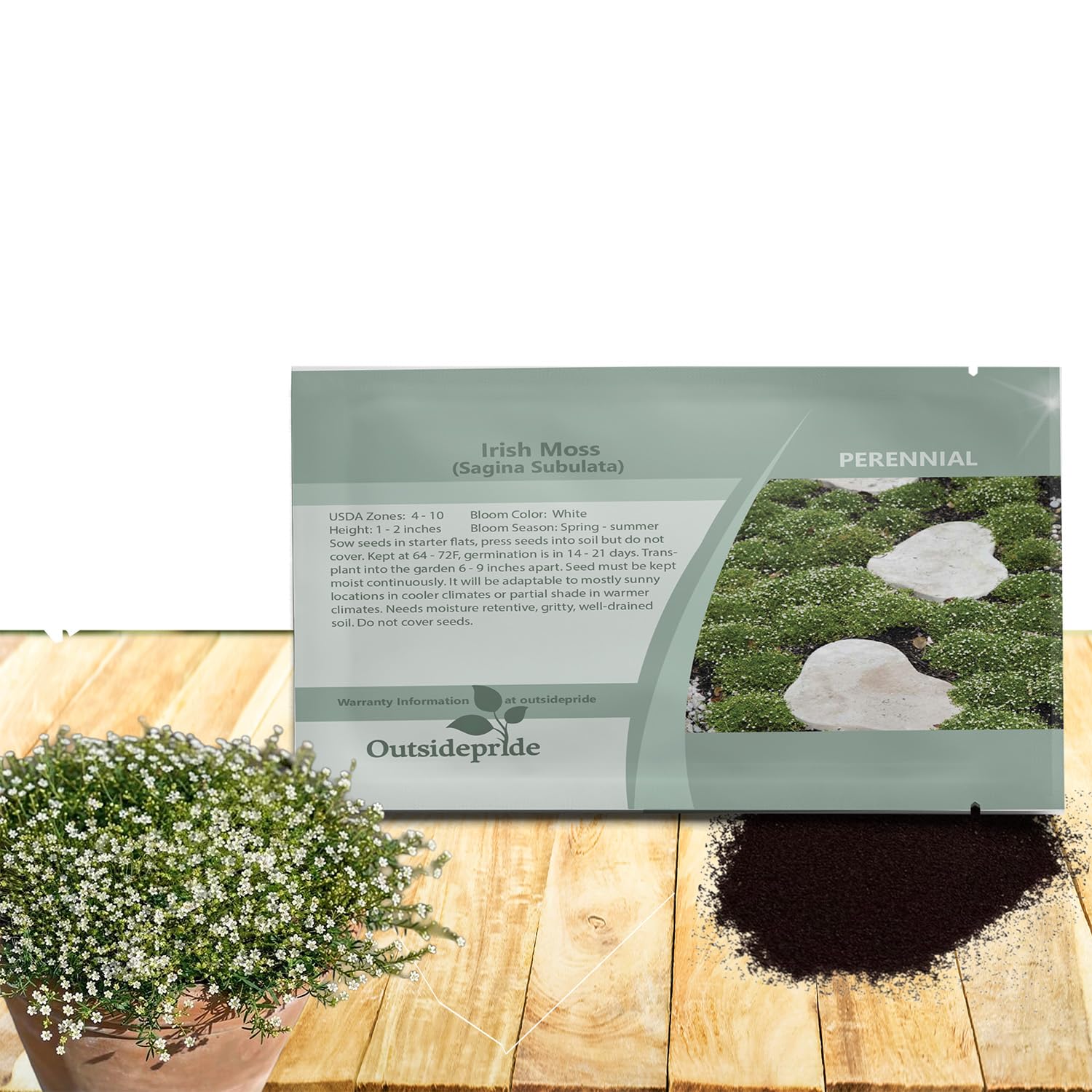 Outsidepride Irish Moss Ground Cover Seeds - 5000 Pcs Perennial Low Growing, Mat-Forming Lawn Alternative, Outdoor Ground Cover Seeds with Shade Tolerance, Ideal for Pathways and Rock Gardens