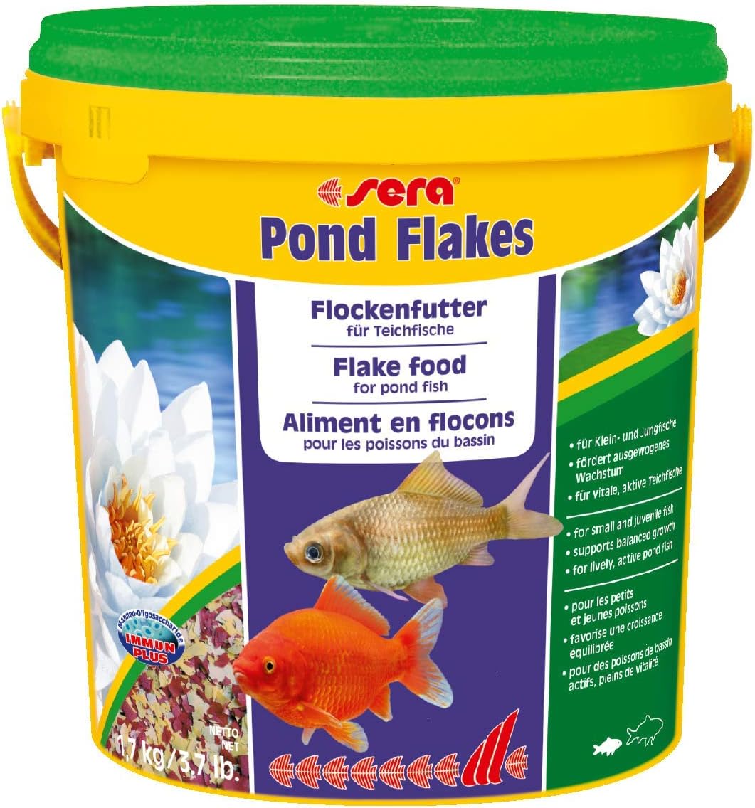 aglio per il pesce
