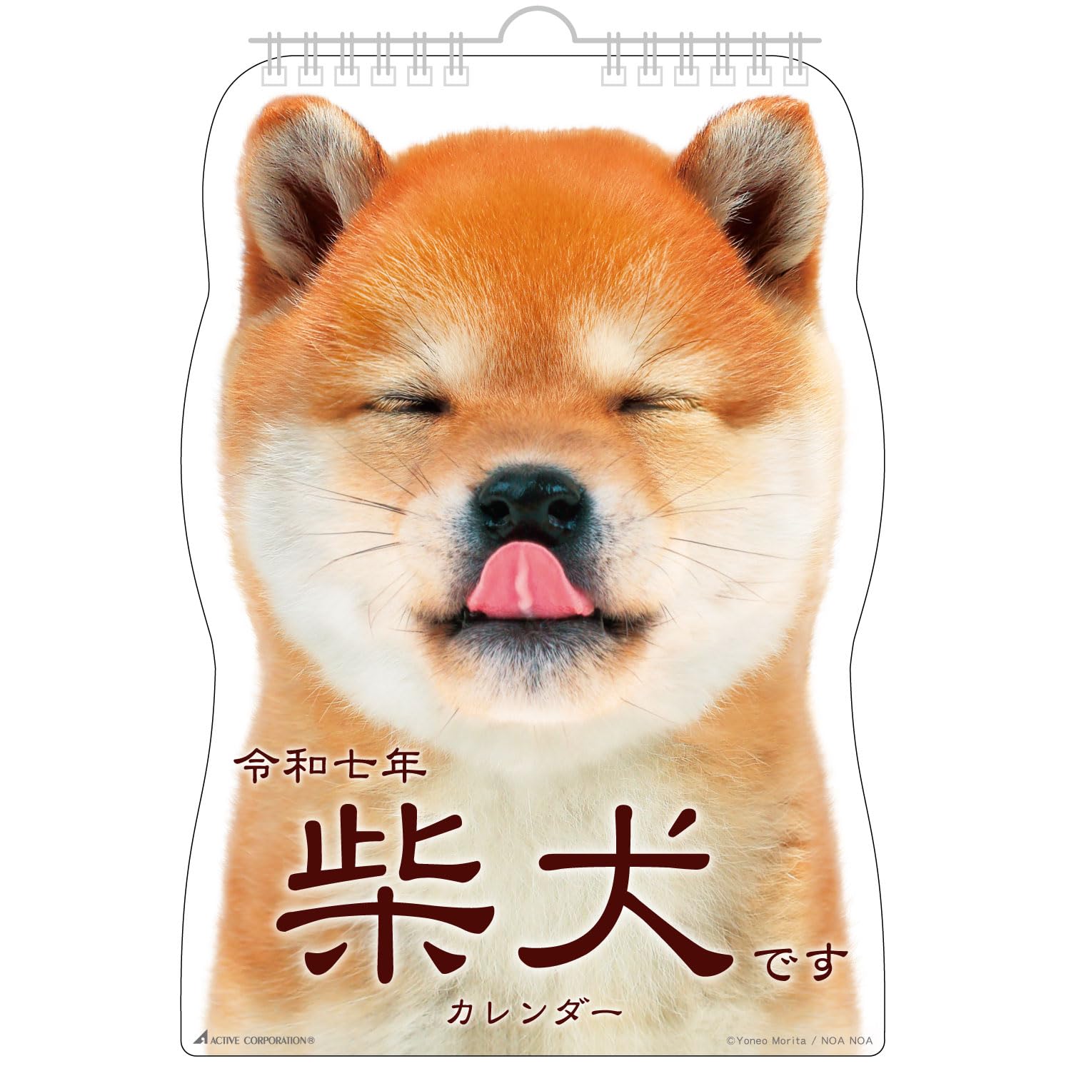 芝犬です。 Amazon.co.jp: アクティブコーポレーション 2025年 カレンダー 壁掛け