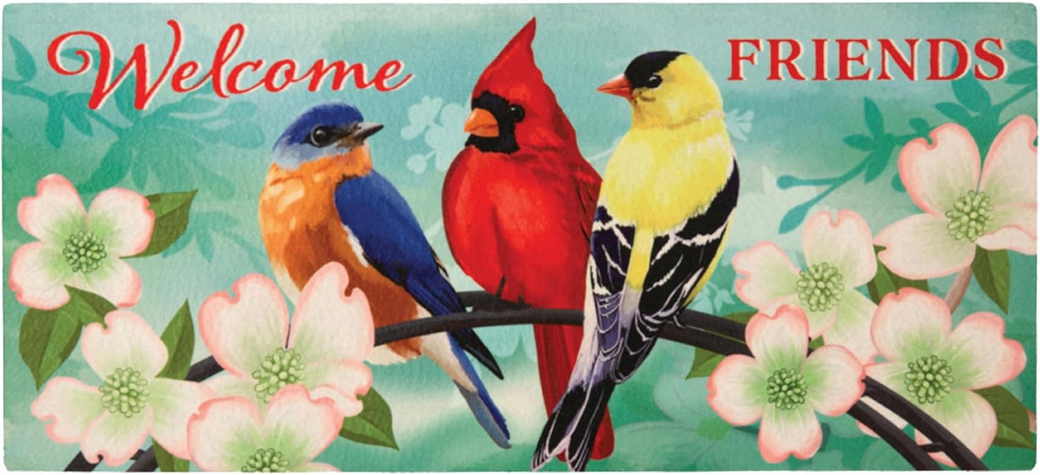 Evergreen Welcome Friends Spring Sassafras Switch Mat Inserts, Interchangeable Front Door Mat Outdoor Entrance, Indoor Door Mats for Entryway, 22 x 10 Inches Sassafras Doormat Inserts