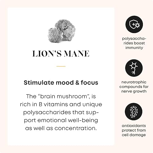 Miniatura 2 de SHROOMWELL Líquido de extracto de melena de león, tintura de extracto de hongo de melena de león de doble extracción, suplemento de hongo melena de